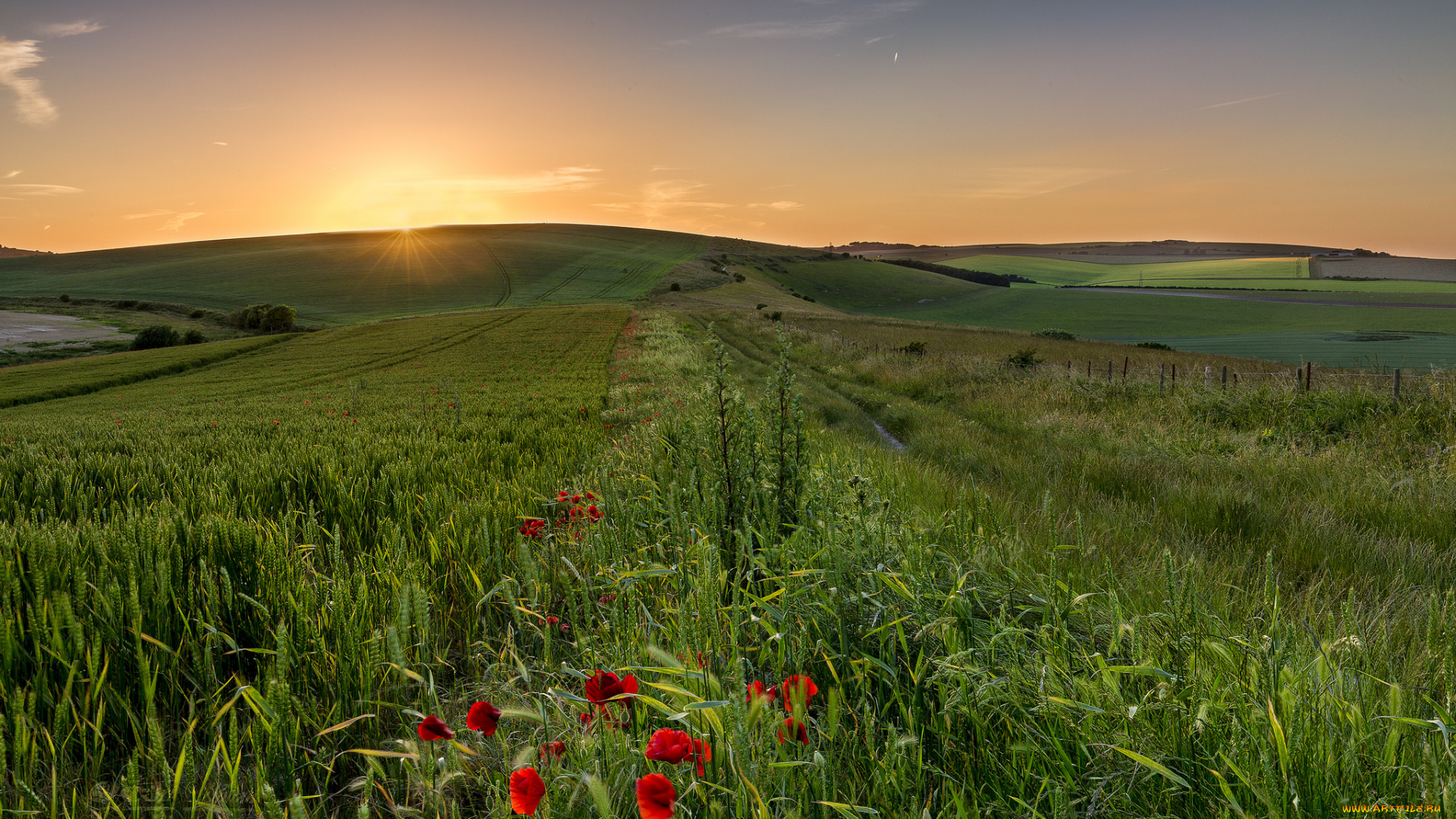 природа, луга, простор