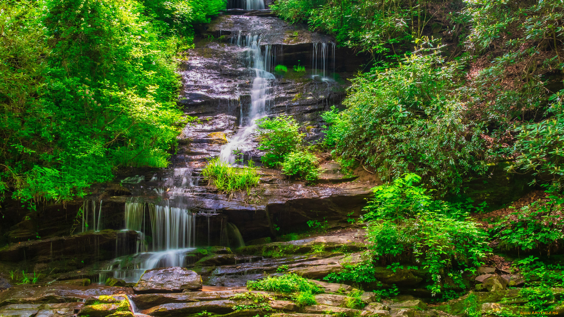 природа, реки, озера, простор