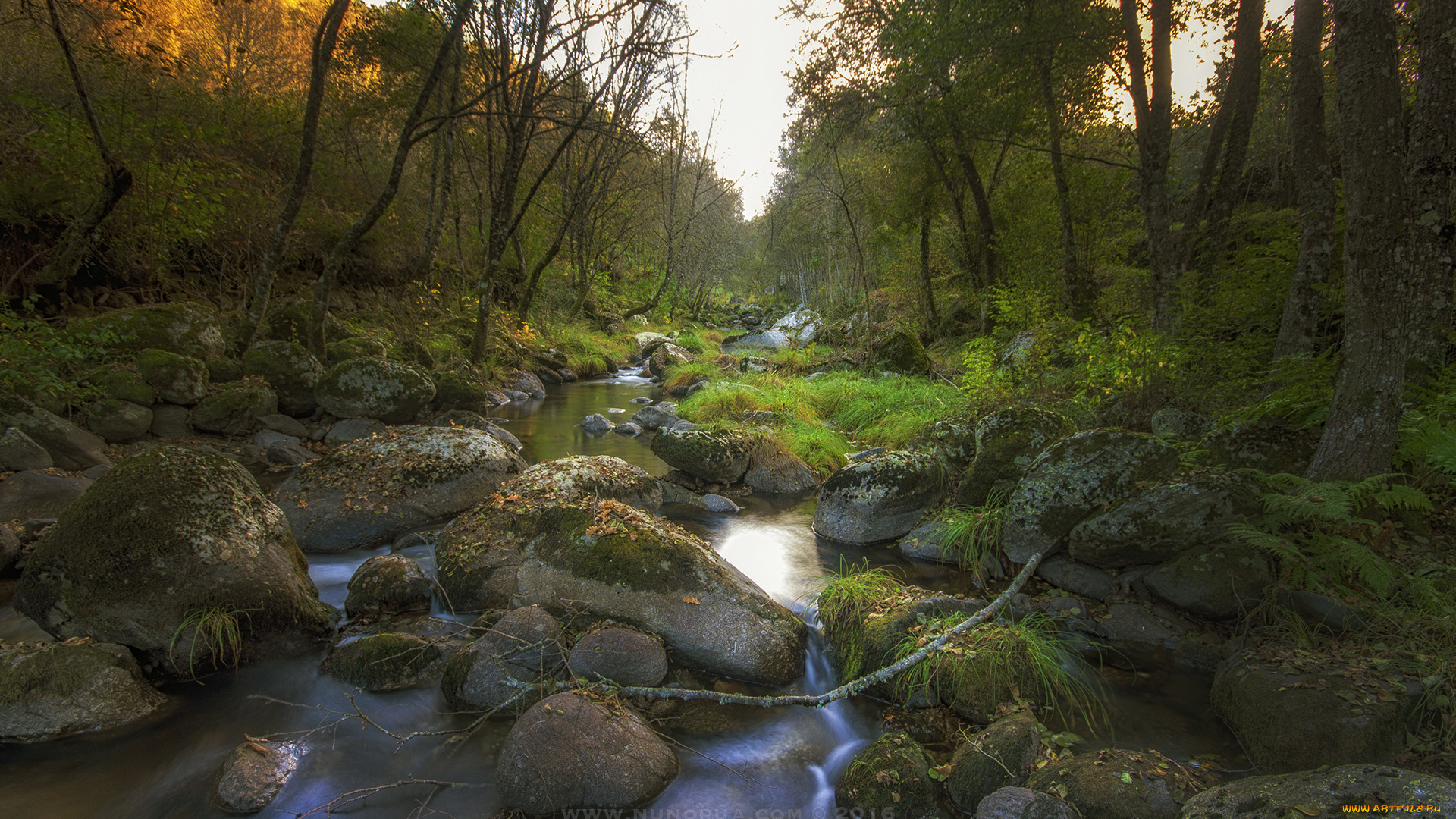 природа, реки, озера, простор