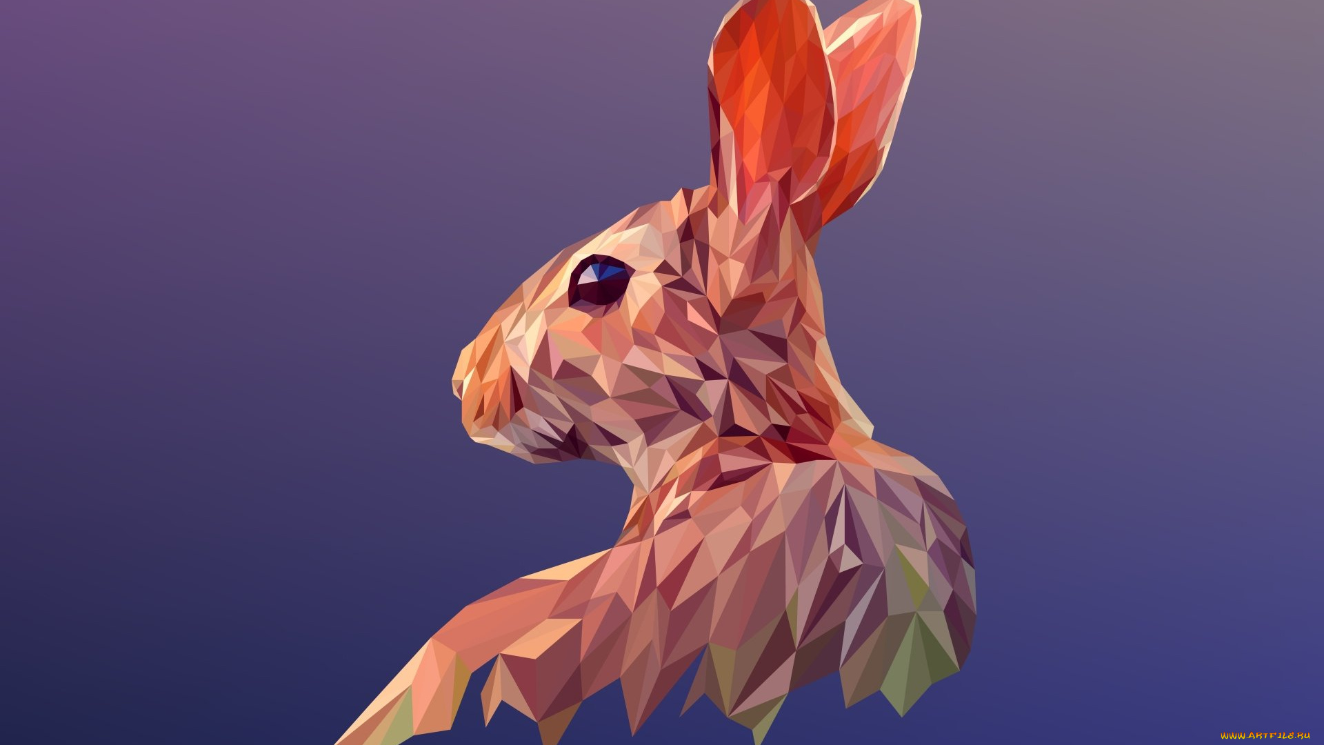 векторная, графика, животные, , animals, заец