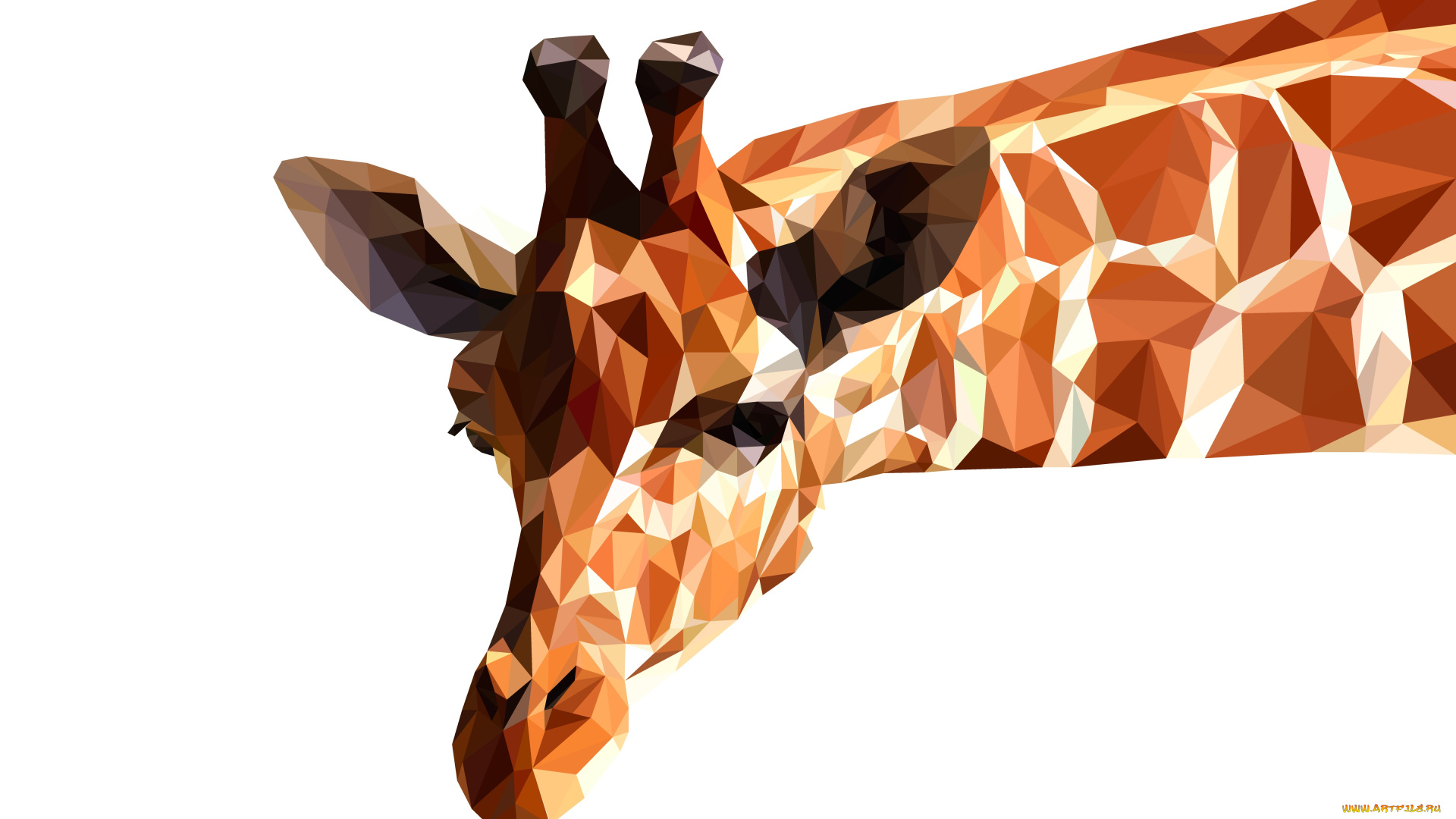 векторная, графика, животные, , animals, жираф