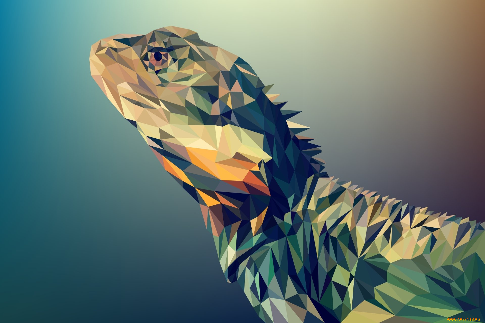 векторная, графика, животные, , animals, ящерица