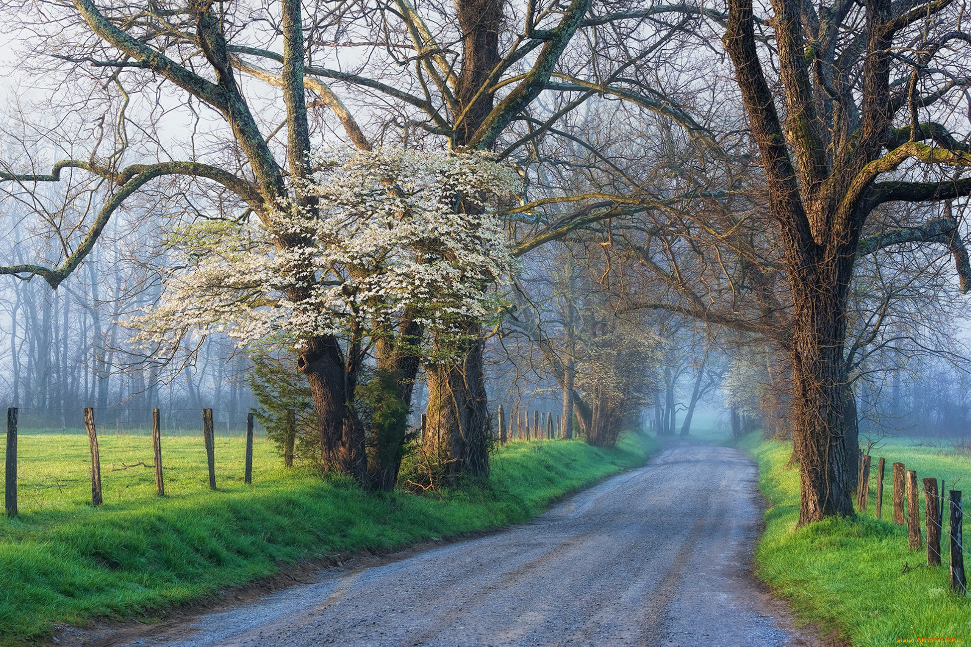природа, дороги, простор