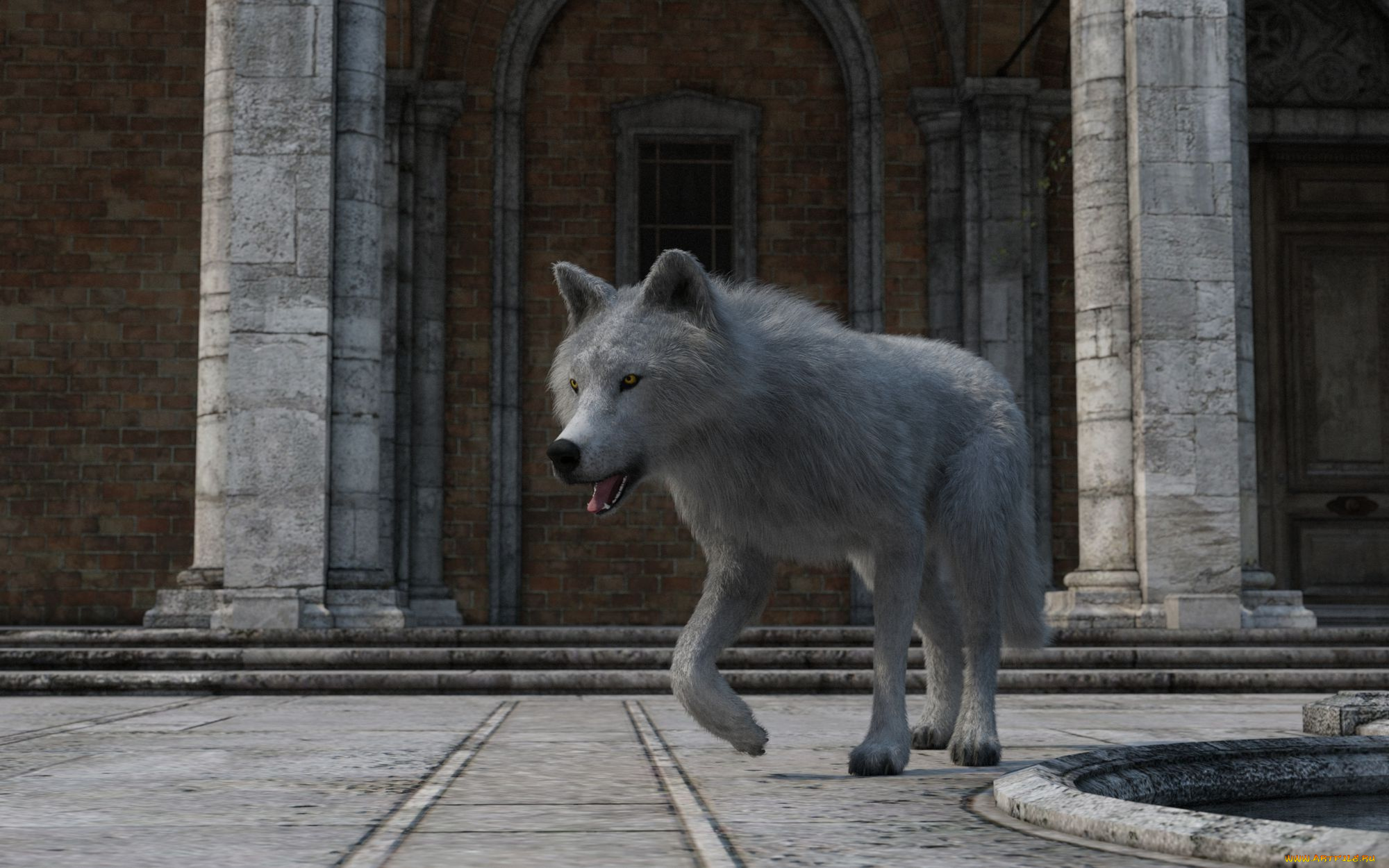 3д, графика, животные, , animals, волк, фон