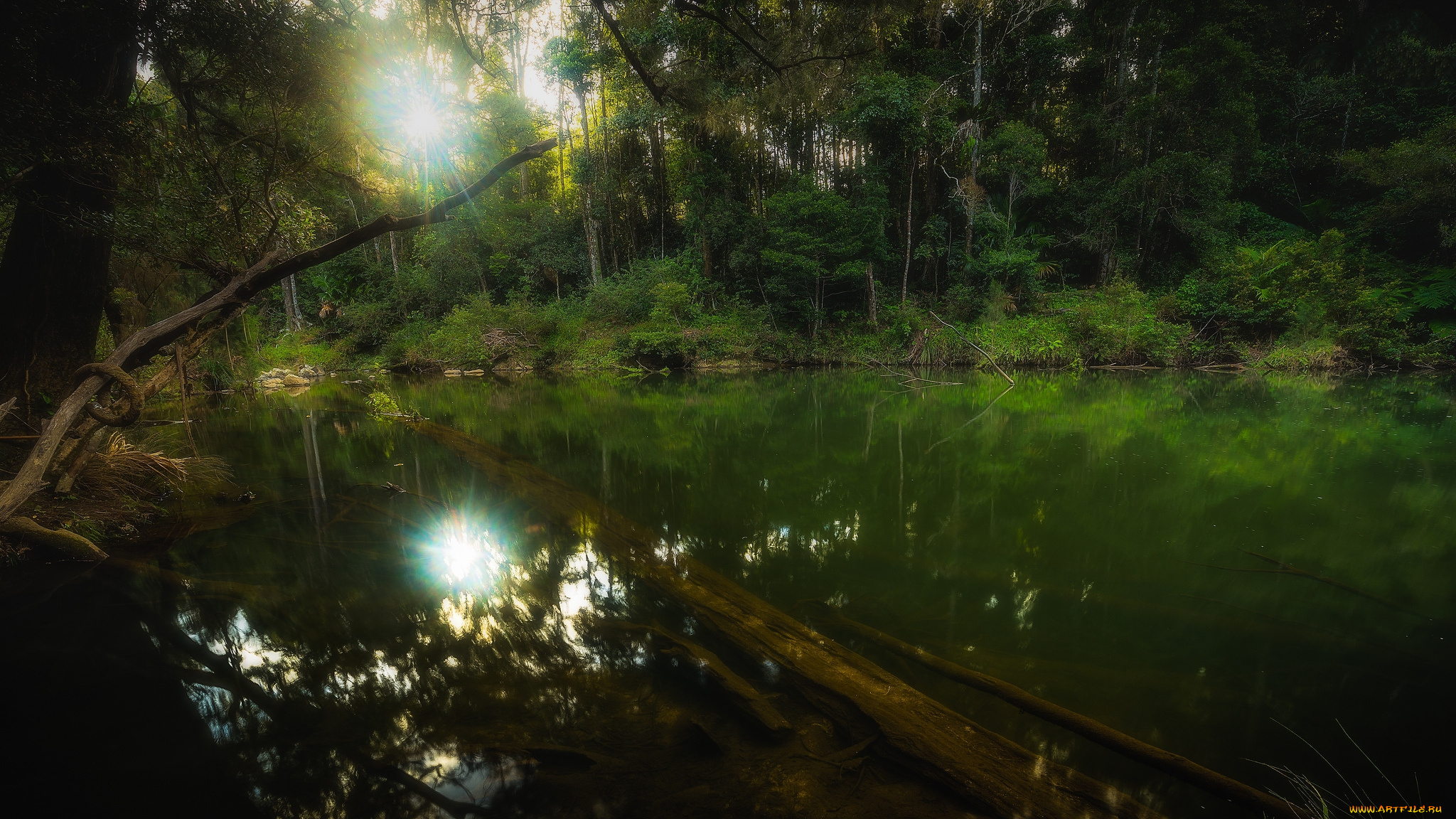 природа, реки, озера, простор