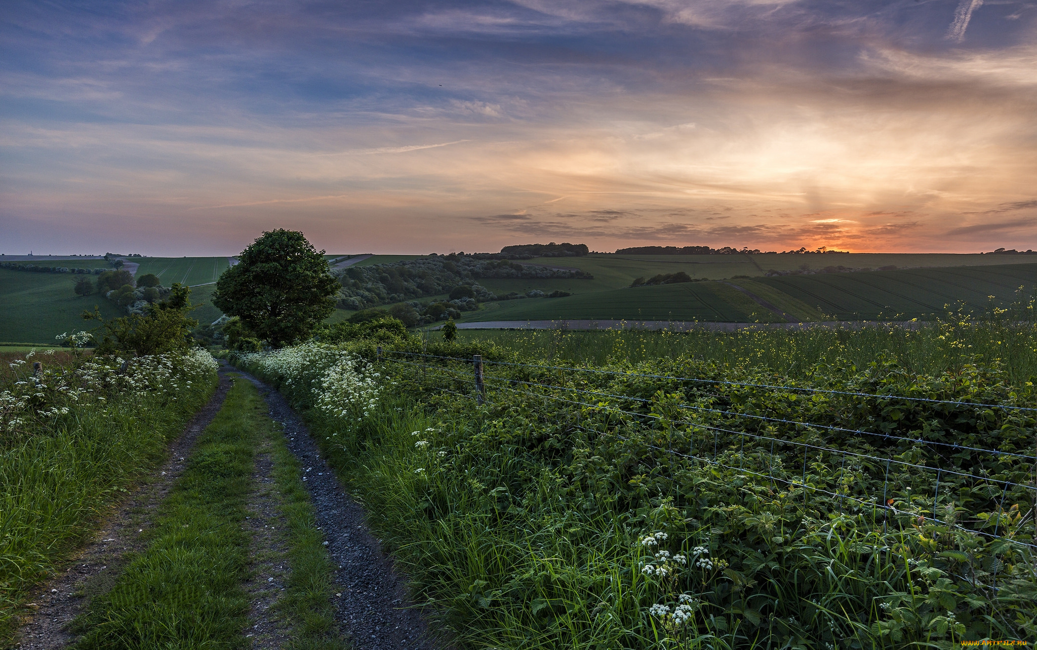 природа, дороги, простор