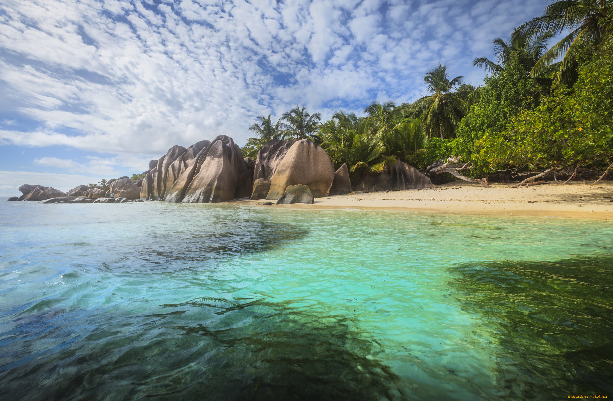 природа, тропики, простор