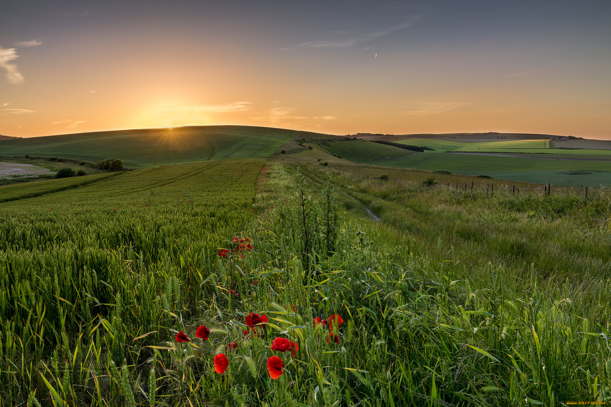 природа, луга, простор