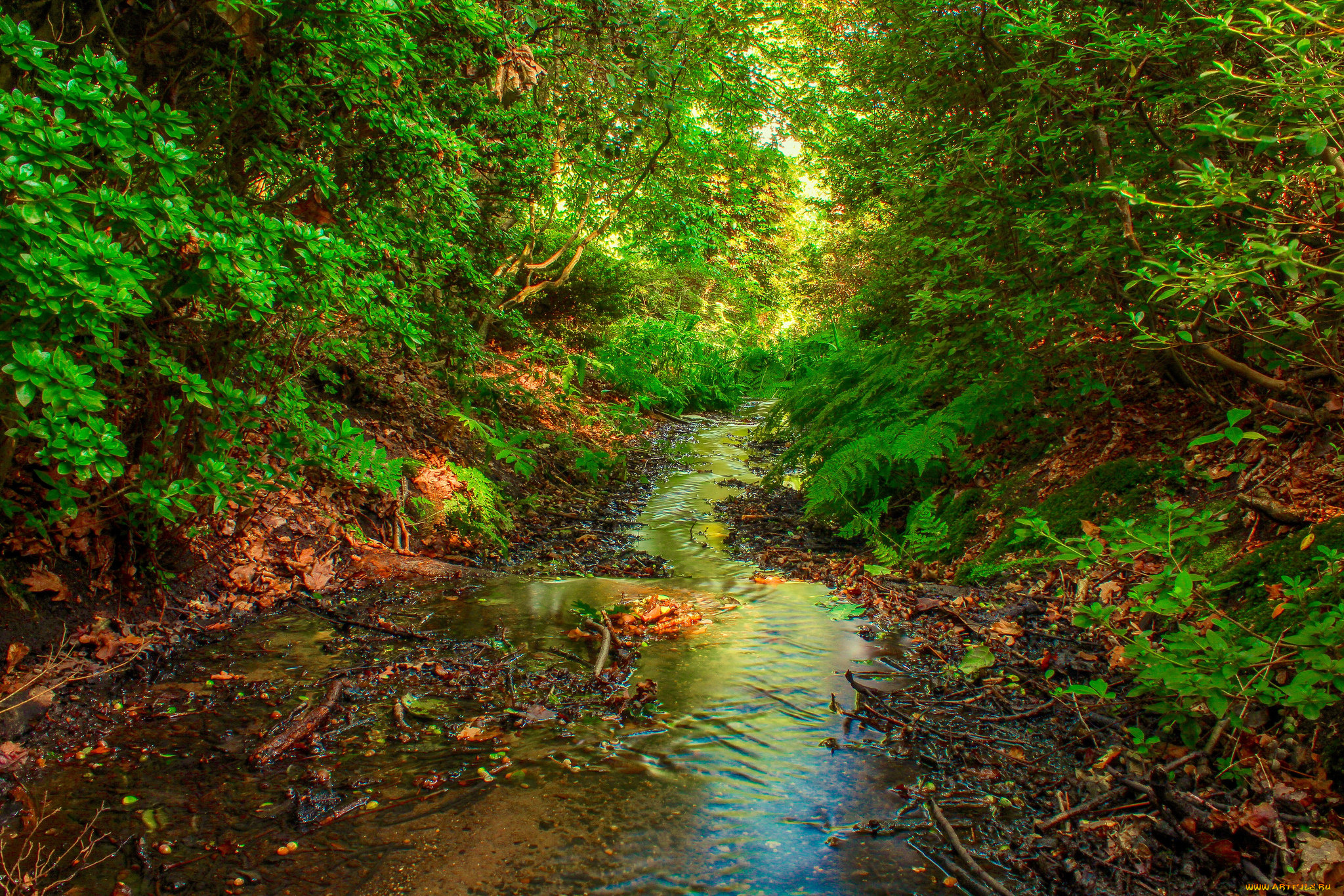 природа, реки, озера, простор