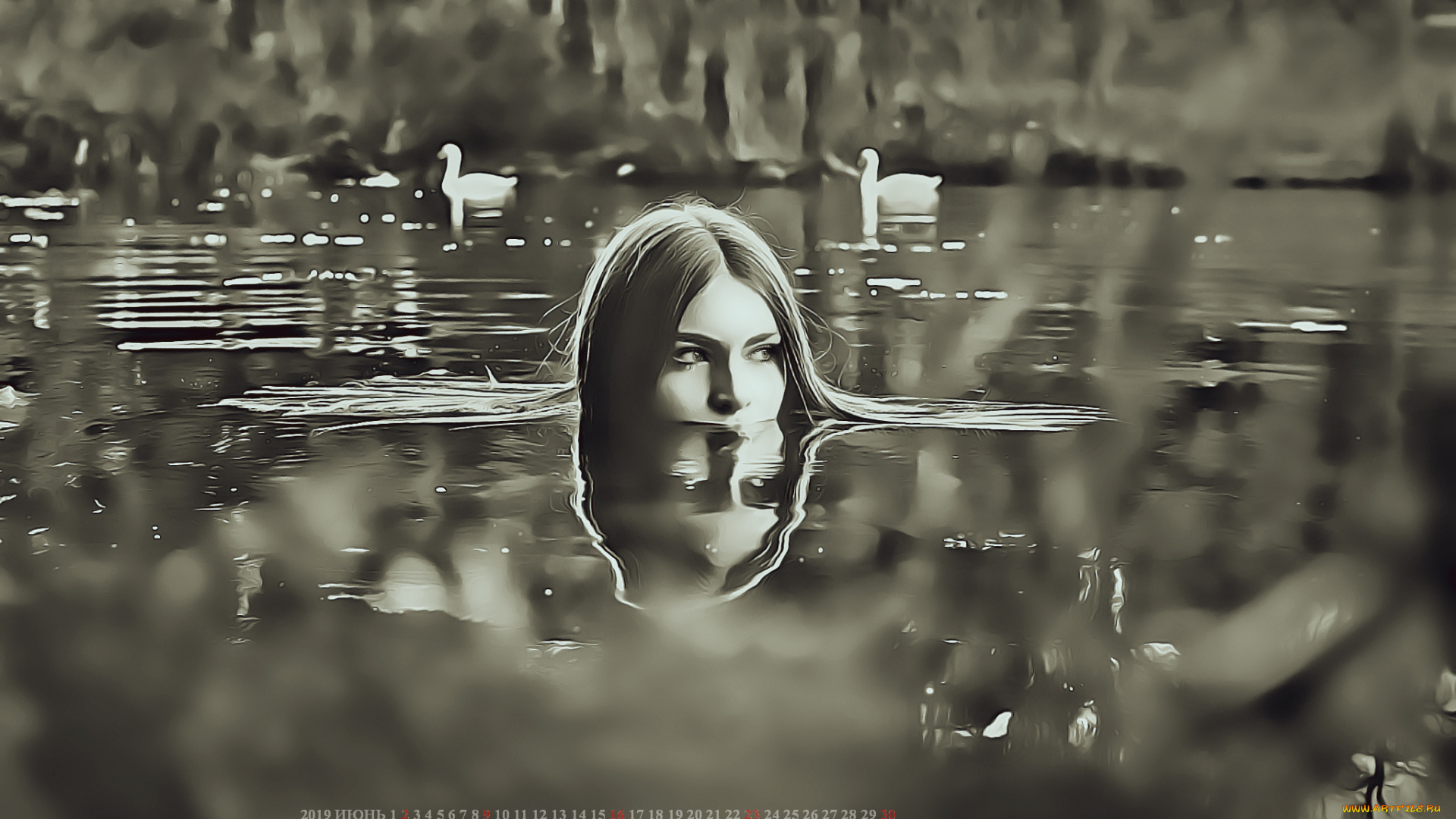календари, компьютерный, дизайн, женщина, лебедь, отражение, лицо, девушка, водоем, calendar, 2019