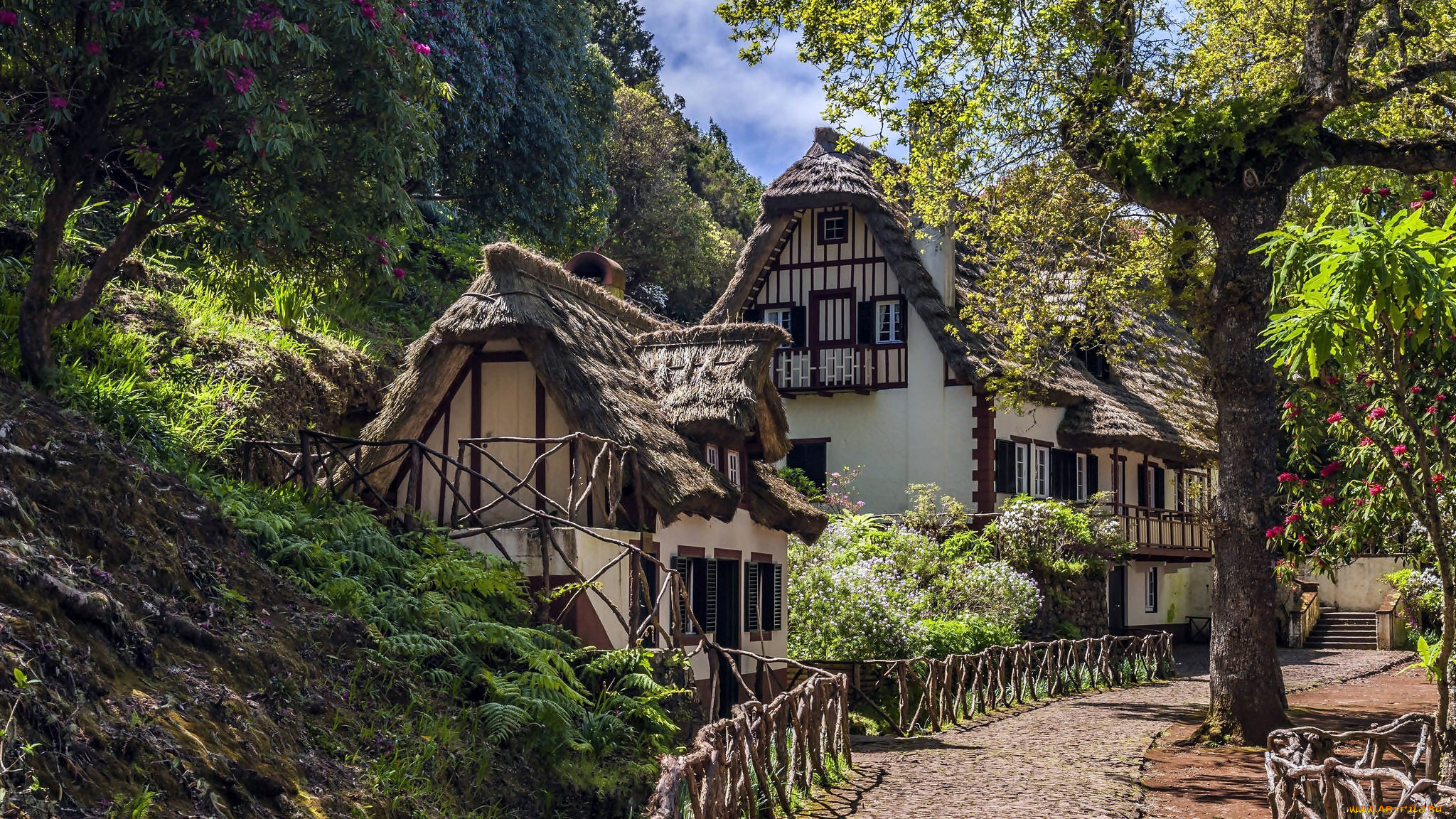 португалия, , мадера, , парк, пико, дас, педрас, города, -, здания, , дома, коттеджи, улица, деревья