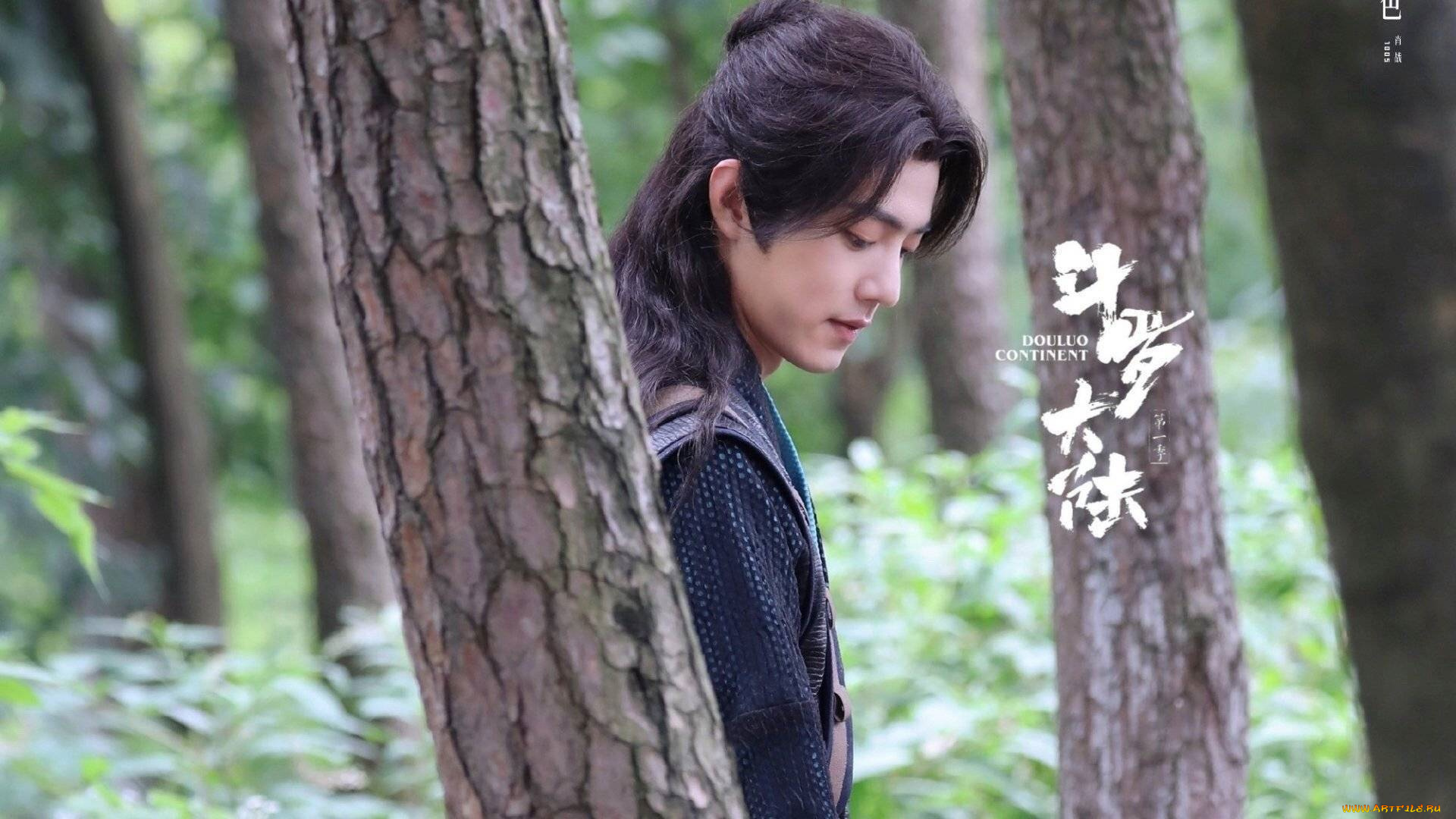 кино, фильмы, douluo, continent, тан, сань, лес