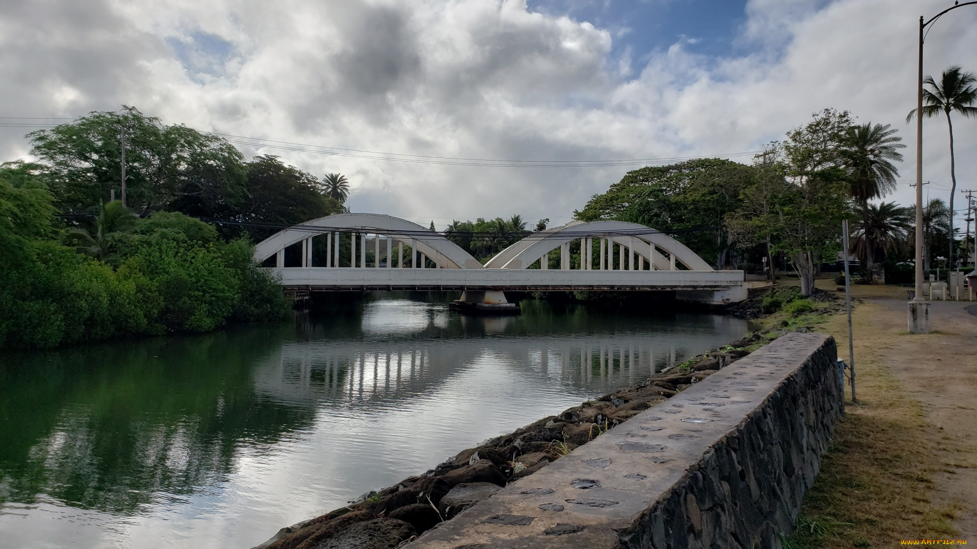города, -, мосты, река, мост, пальмы