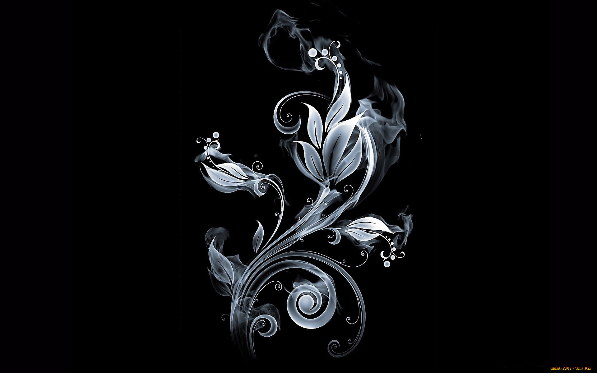 векторная, графика, цветы, , flowers, цветок, дым