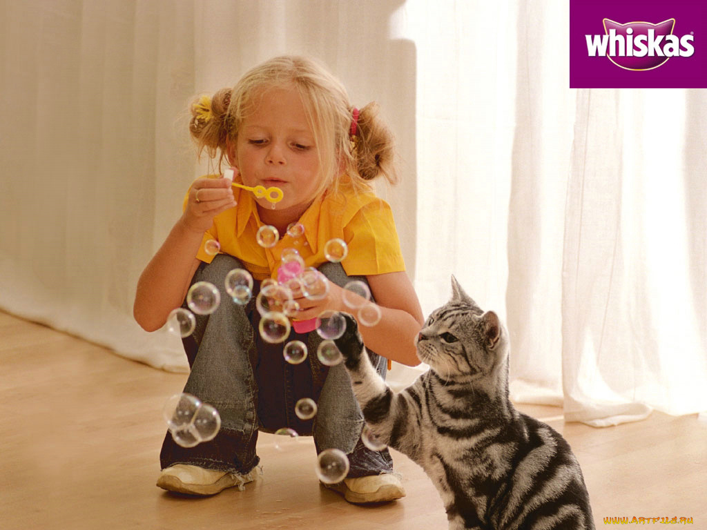 бренды, whiskas