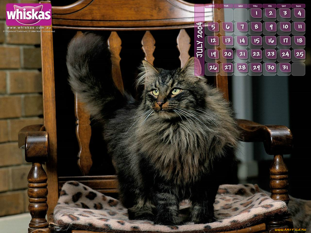 бренды, whiskas