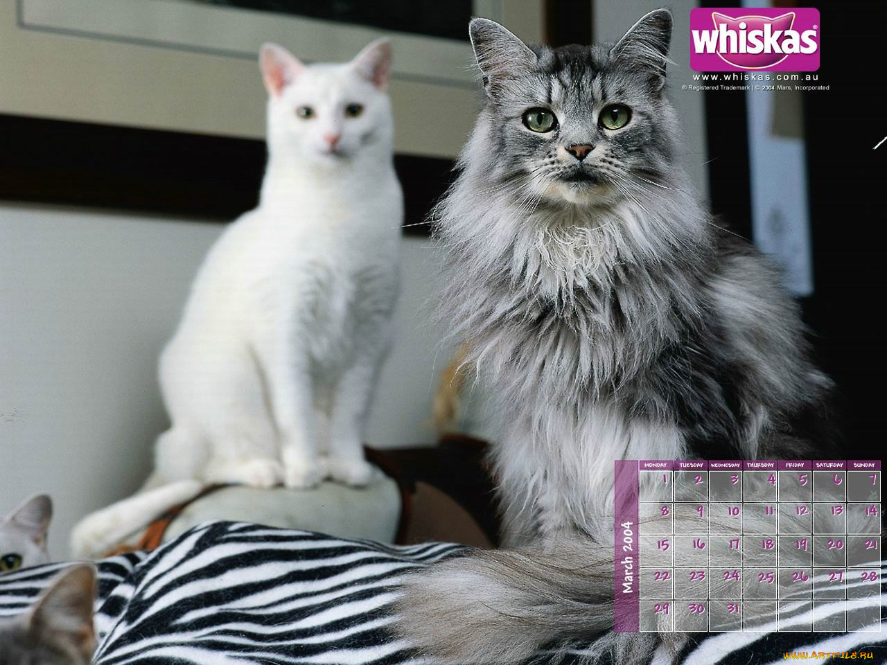 бренды, whiskas