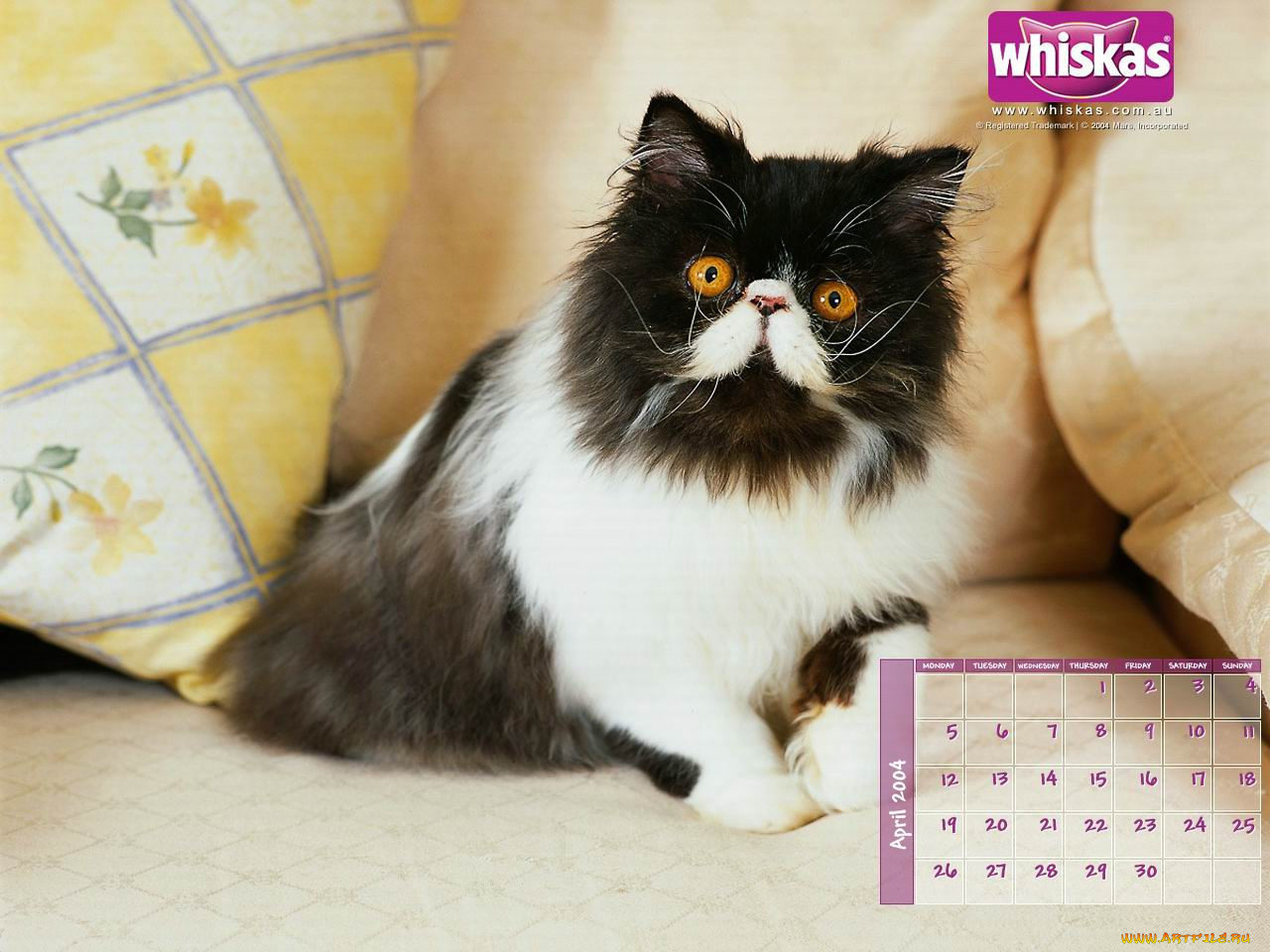 бренды, whiskas