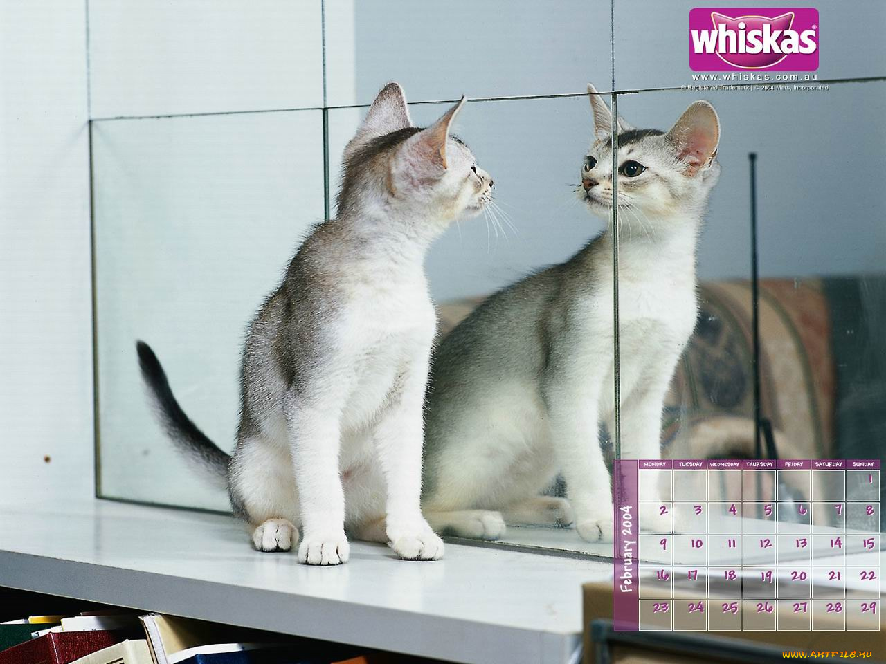 бренды, whiskas