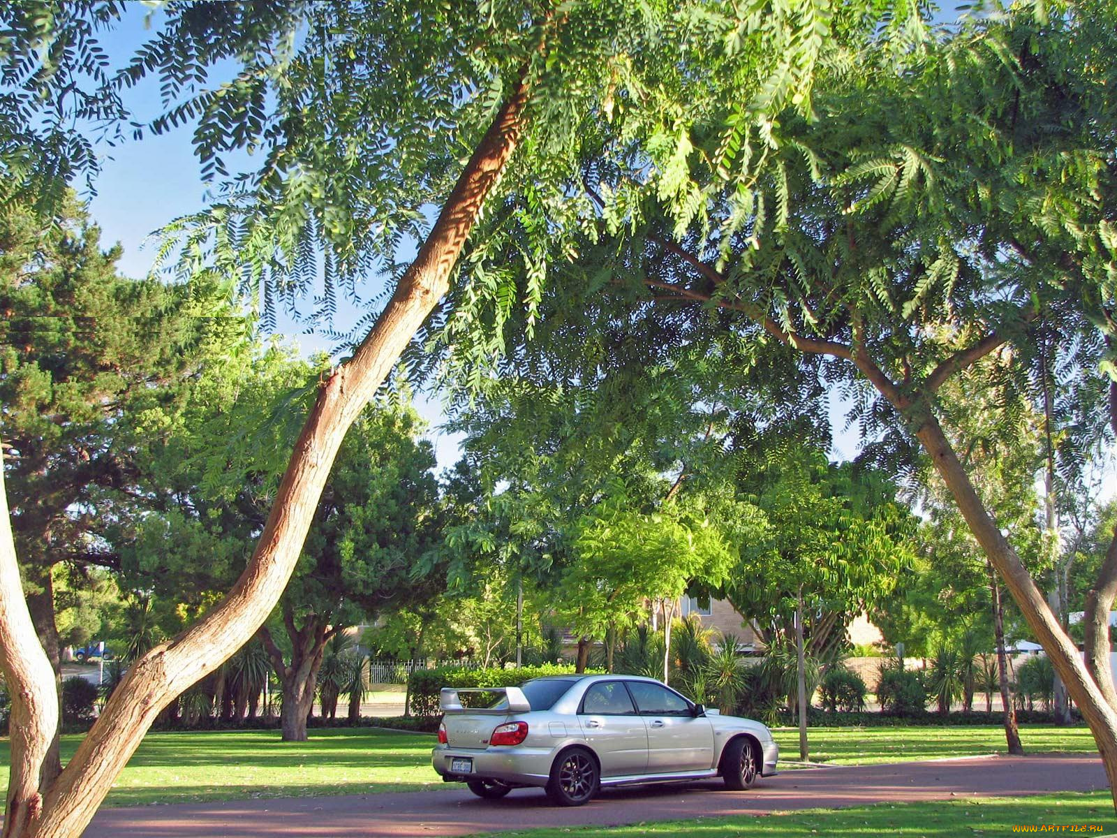 subaru, impreza, sti, 2005, автомобили