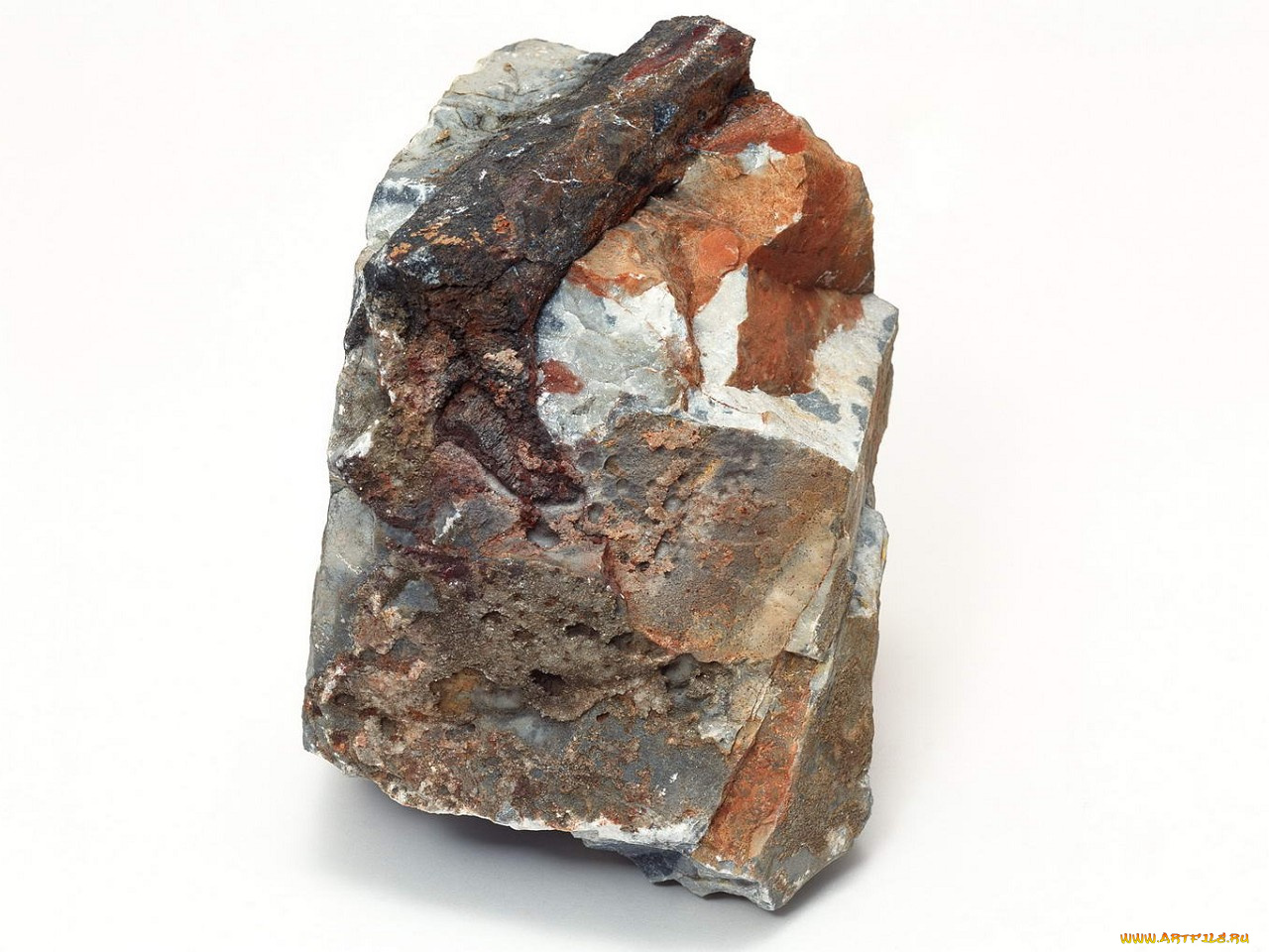 разное, ракушки, кораллы, декоративные, spa, камни