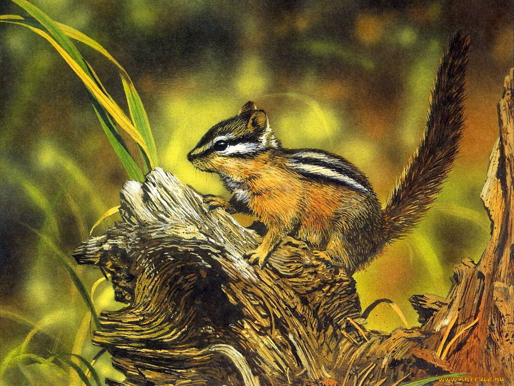 рисованные, животные