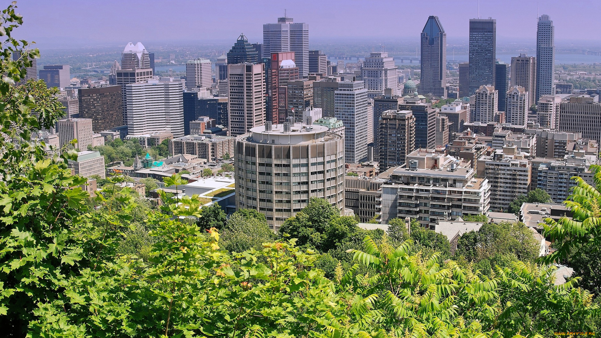 монреаль, канада, города, панорамы, деревья, небоскребы, здания