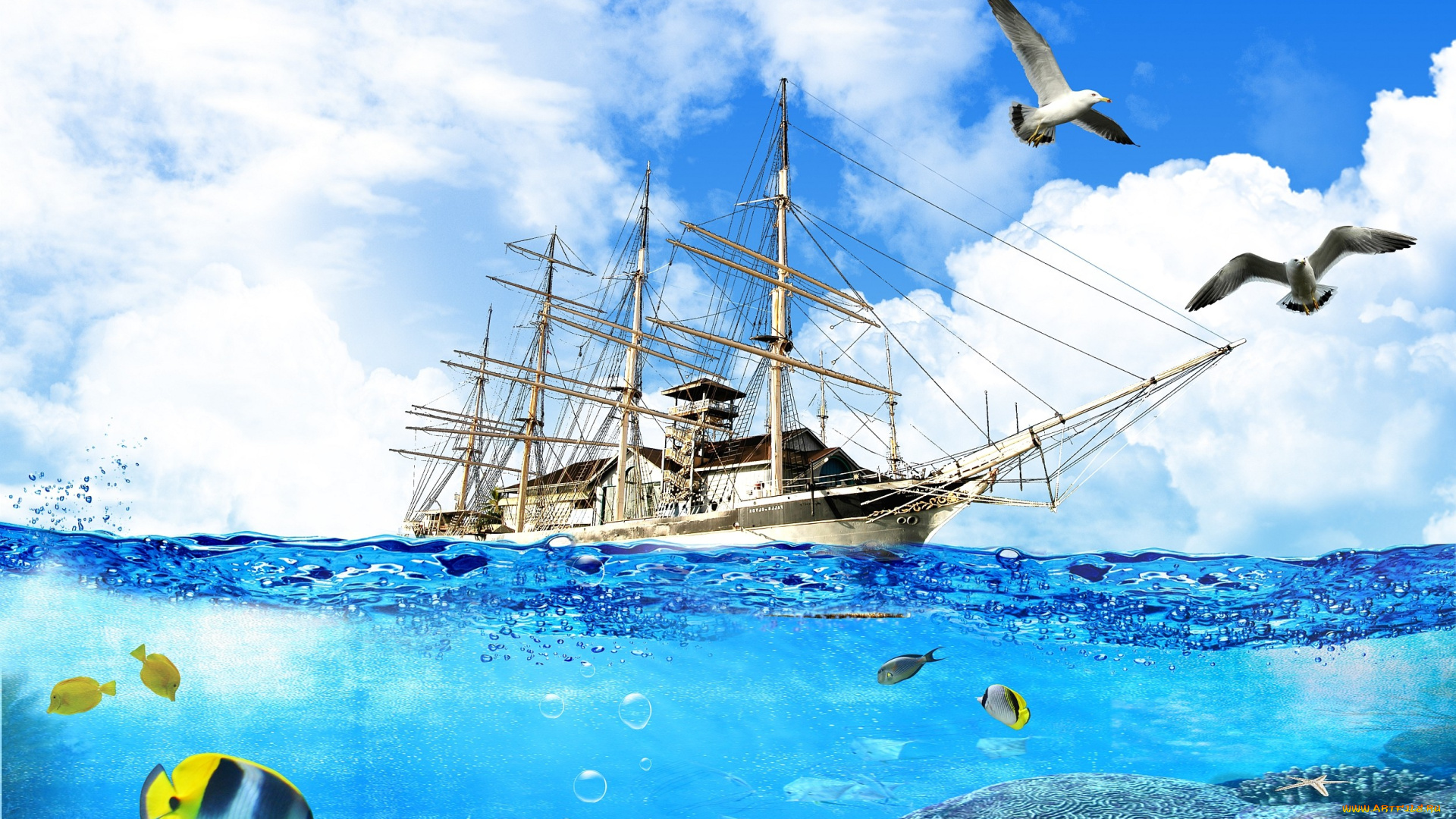 разное, компьютерный, дизайн, море, рыбы, чайки, парусник