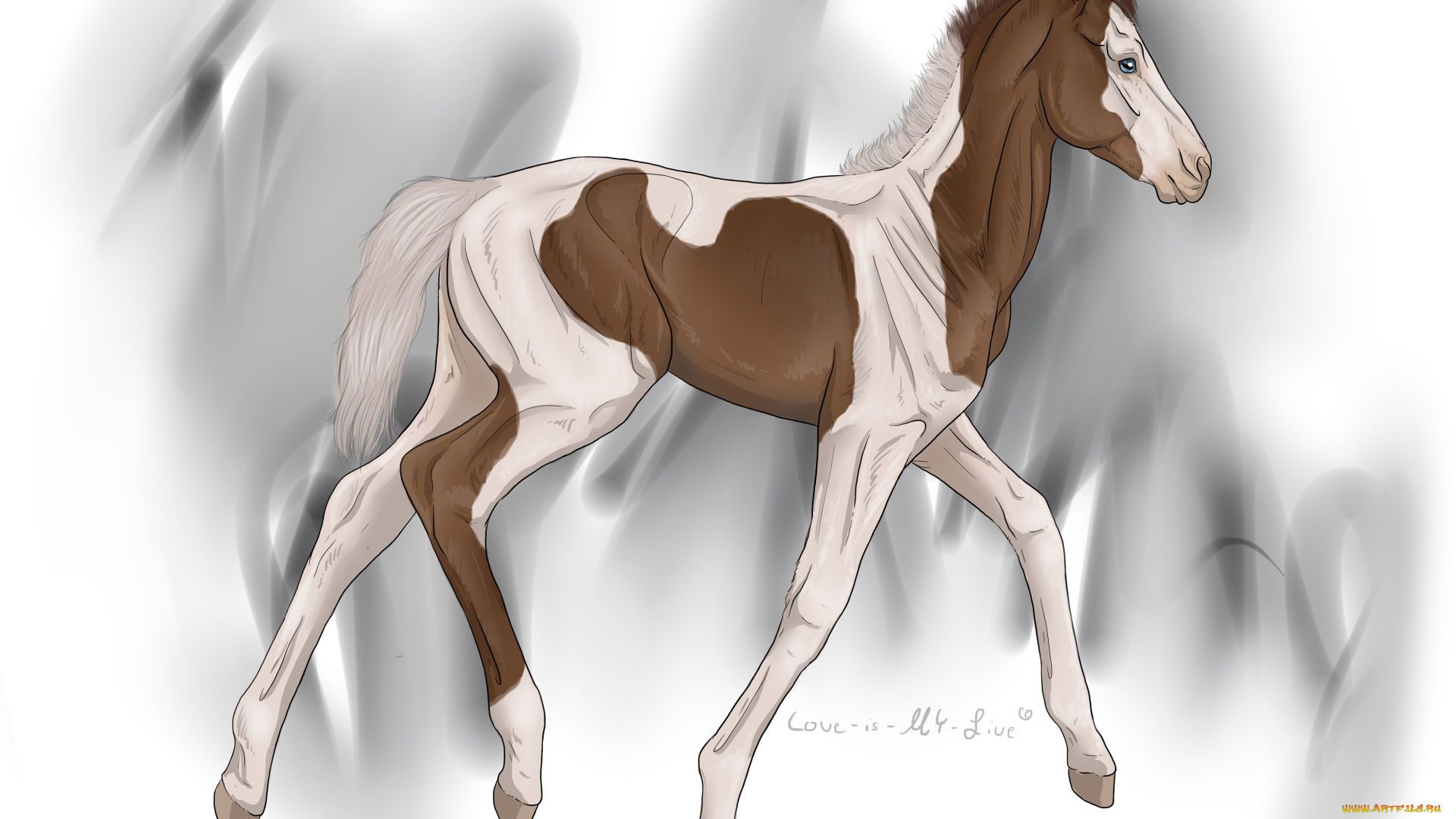 рисованные, животные, лошади, лошадь