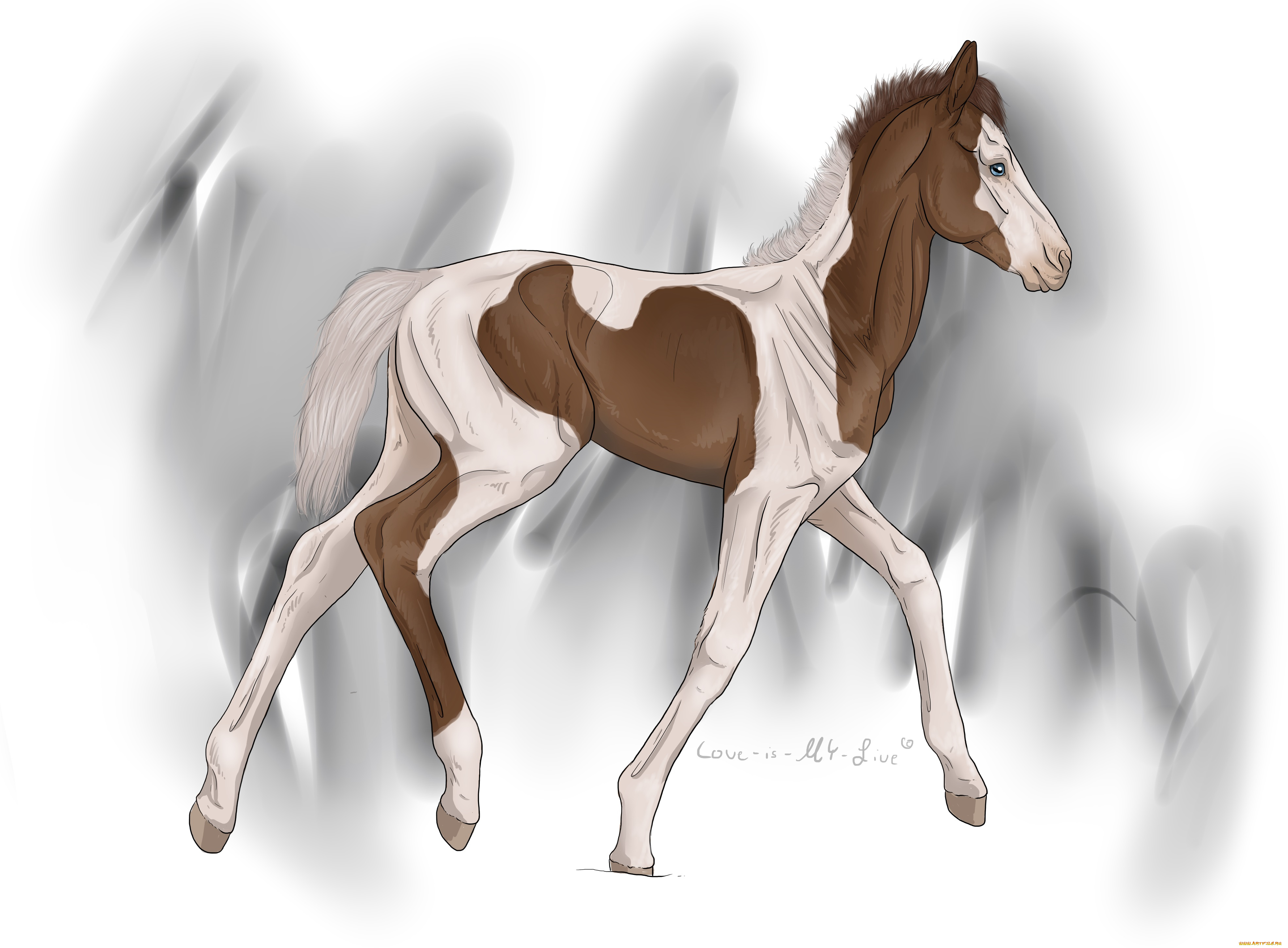 рисованные, животные, лошади, лошадь