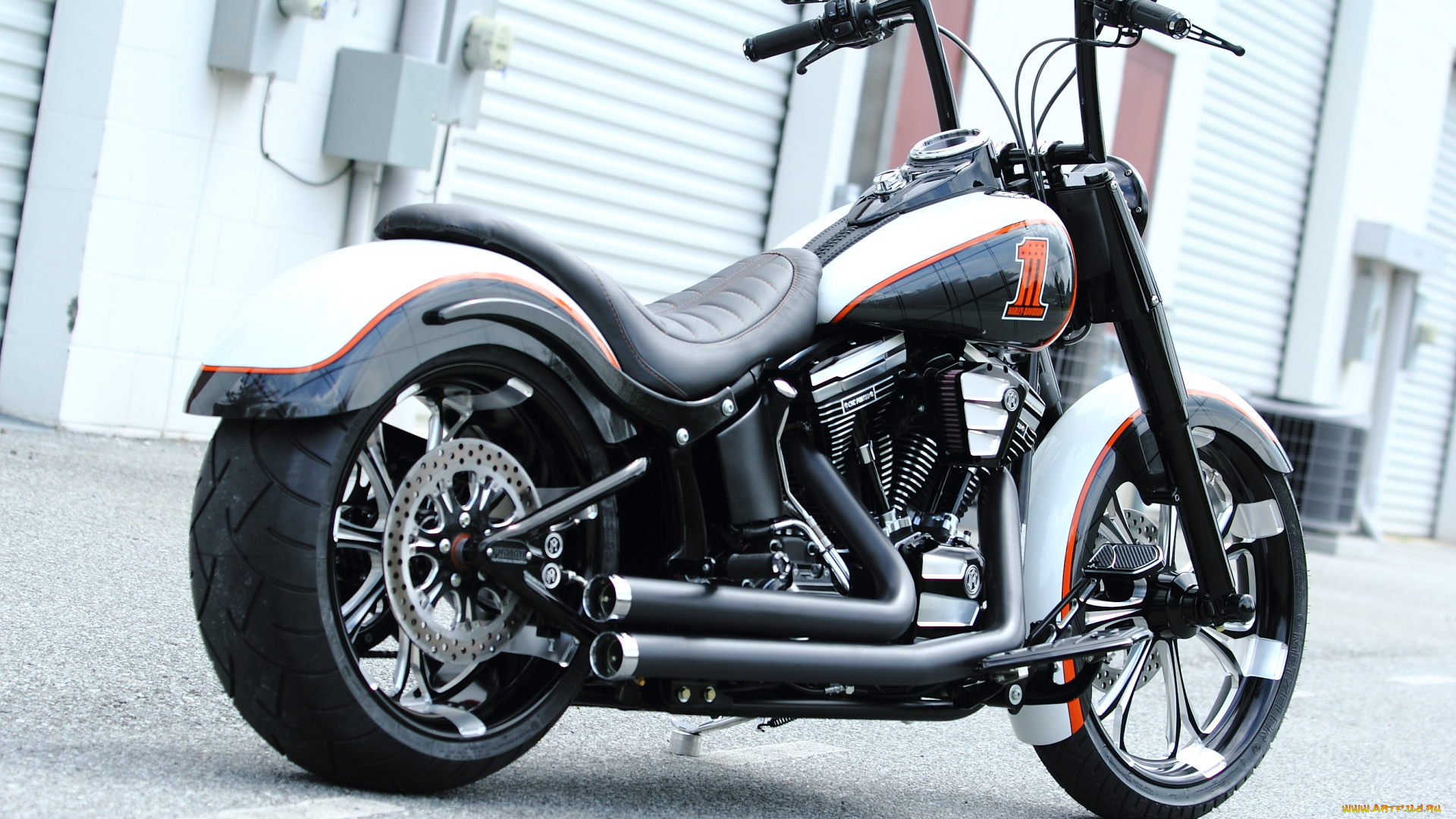 мотоциклы, customs, fls