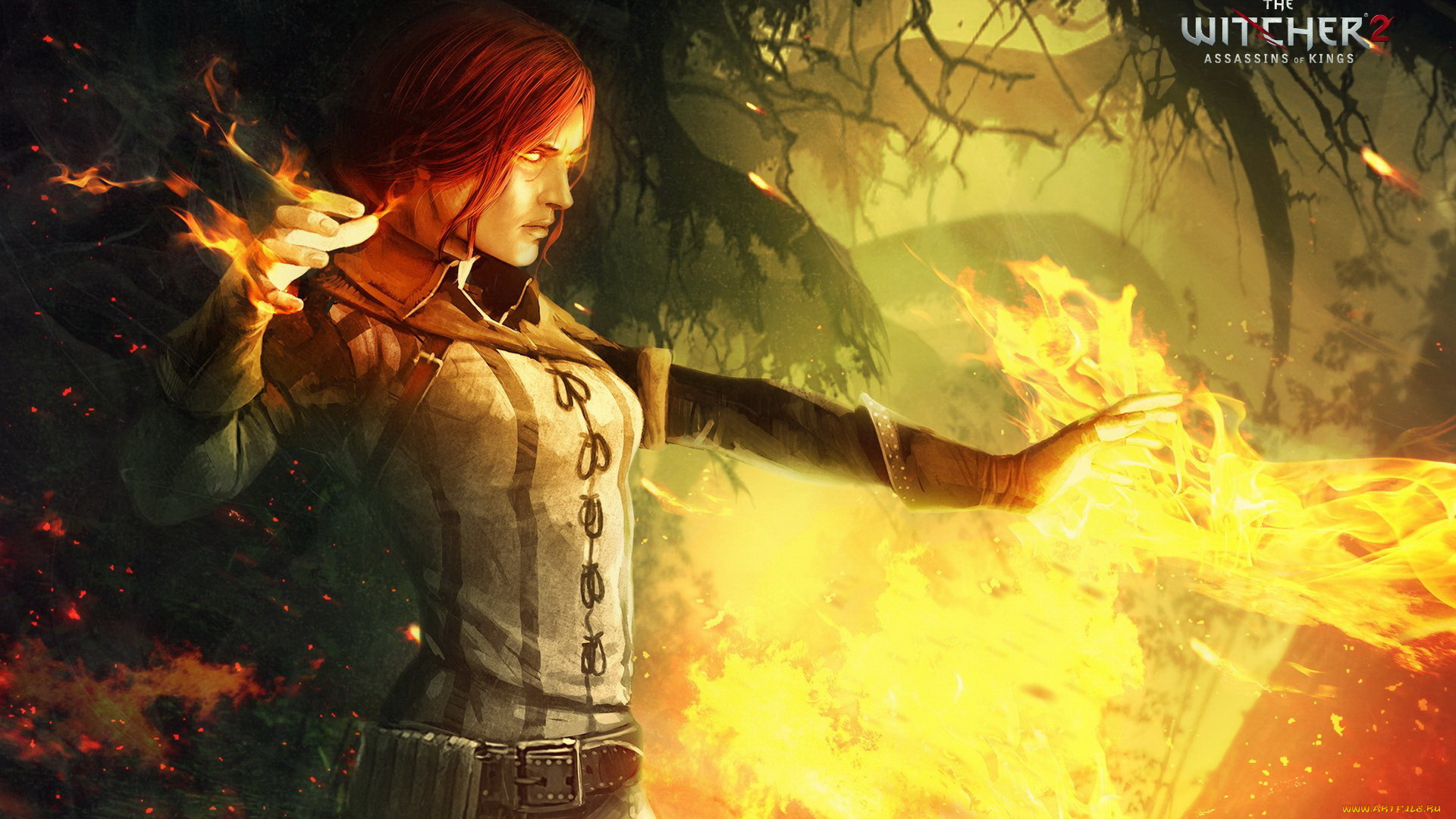 видео, игры, the, witcher, 2, , assassins, of, kings, магия, ведьмак, деревья, лес, огонь, колдовство, ведьма