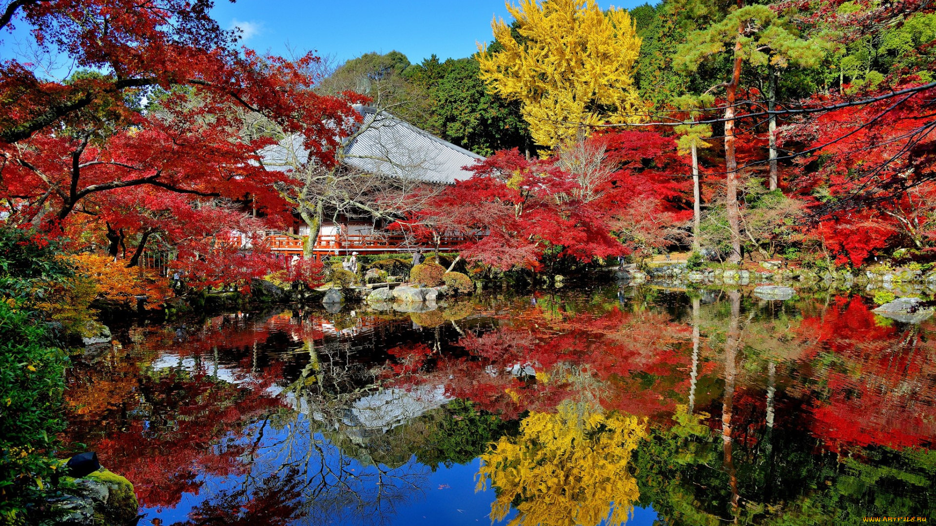 природа, парк, осень, багрянец, листья, отражение, деревья, пруд, дом, сад, Япония