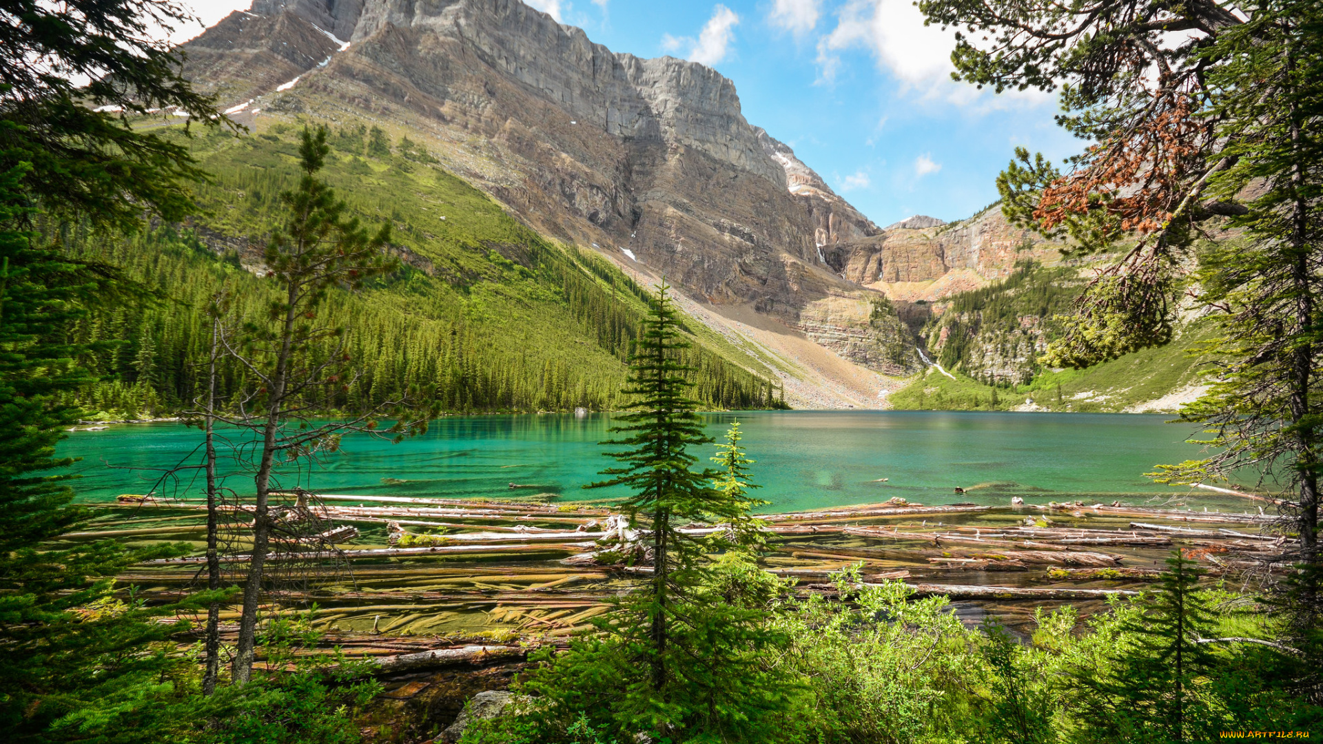 природа, реки, озера, лес, горы, река