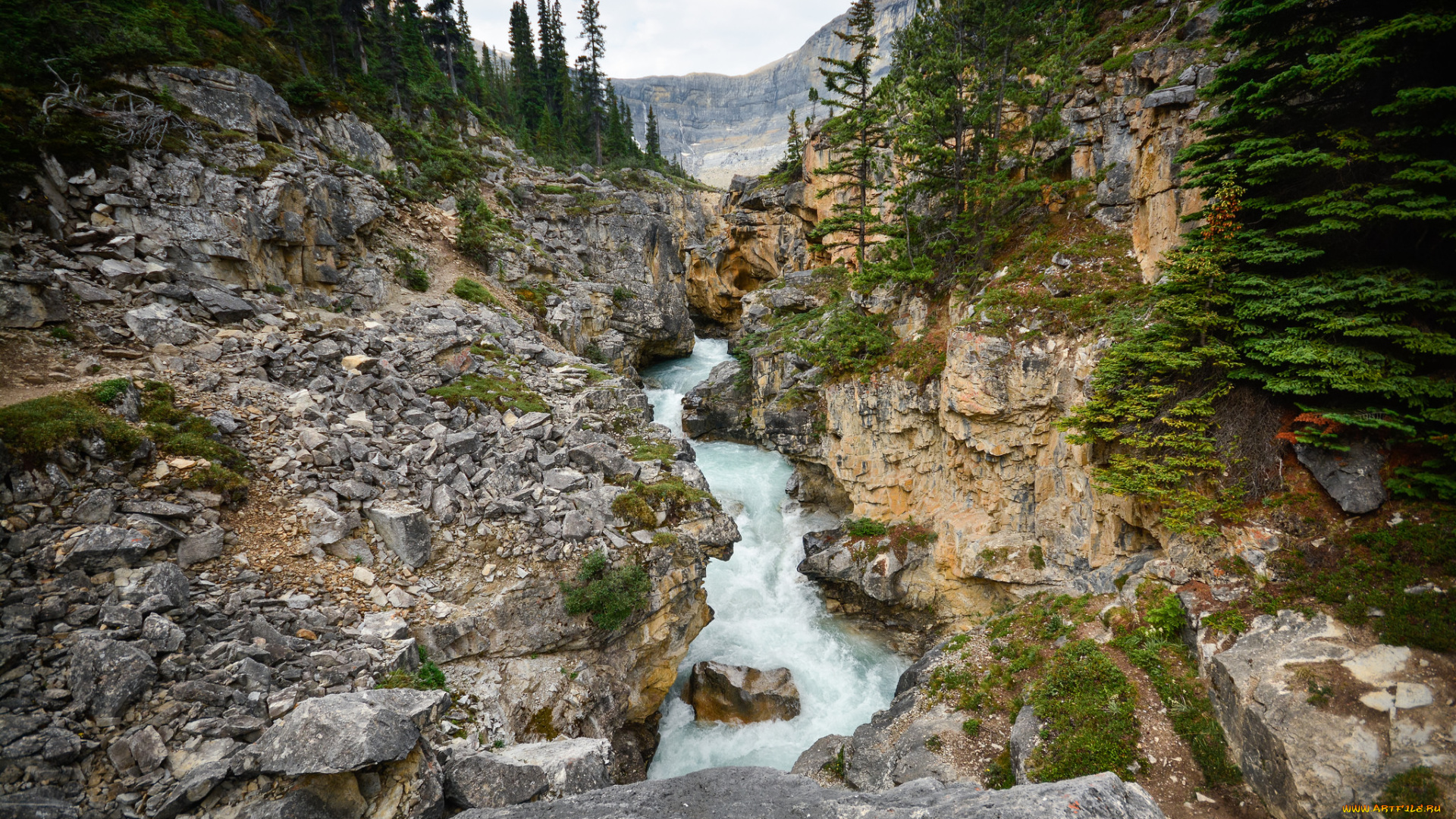 природа, реки, озера, река, лес, горы