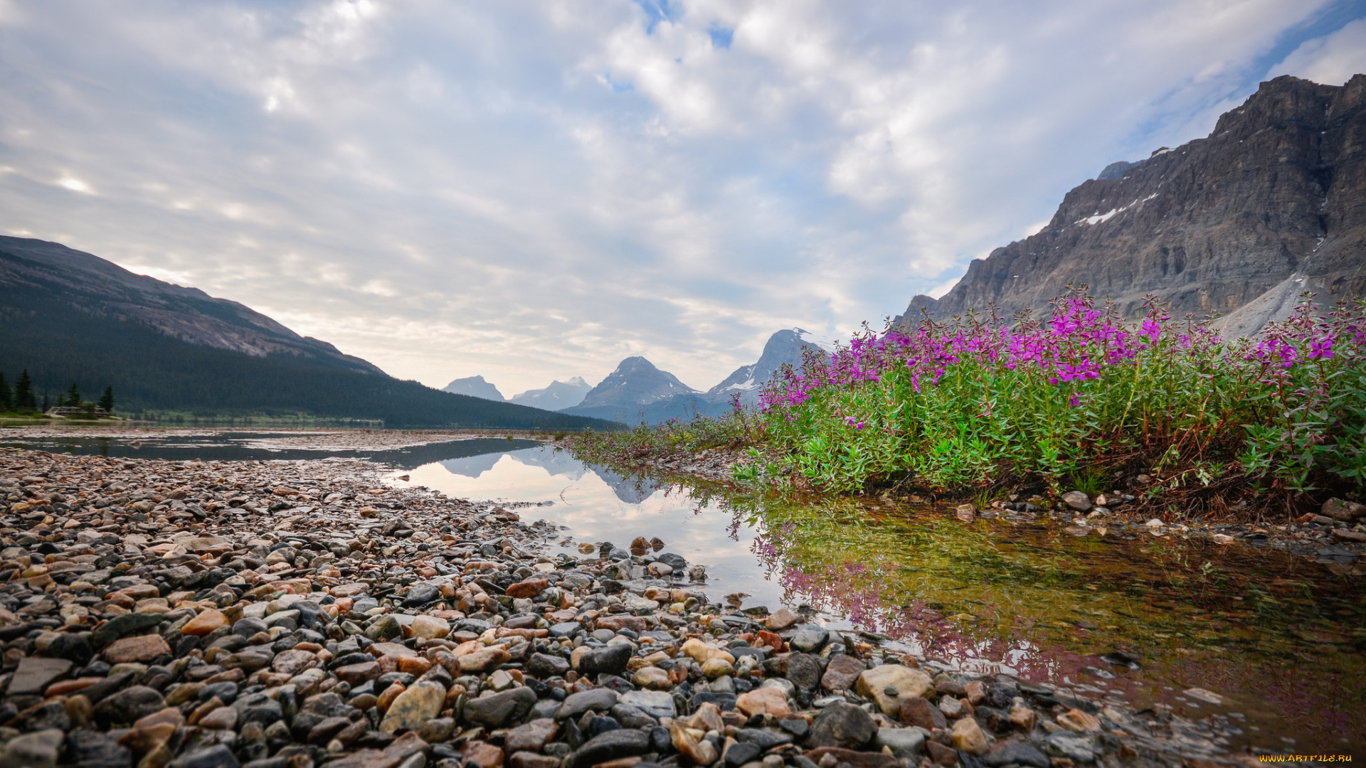 природа, реки, озера, река, лес, горы