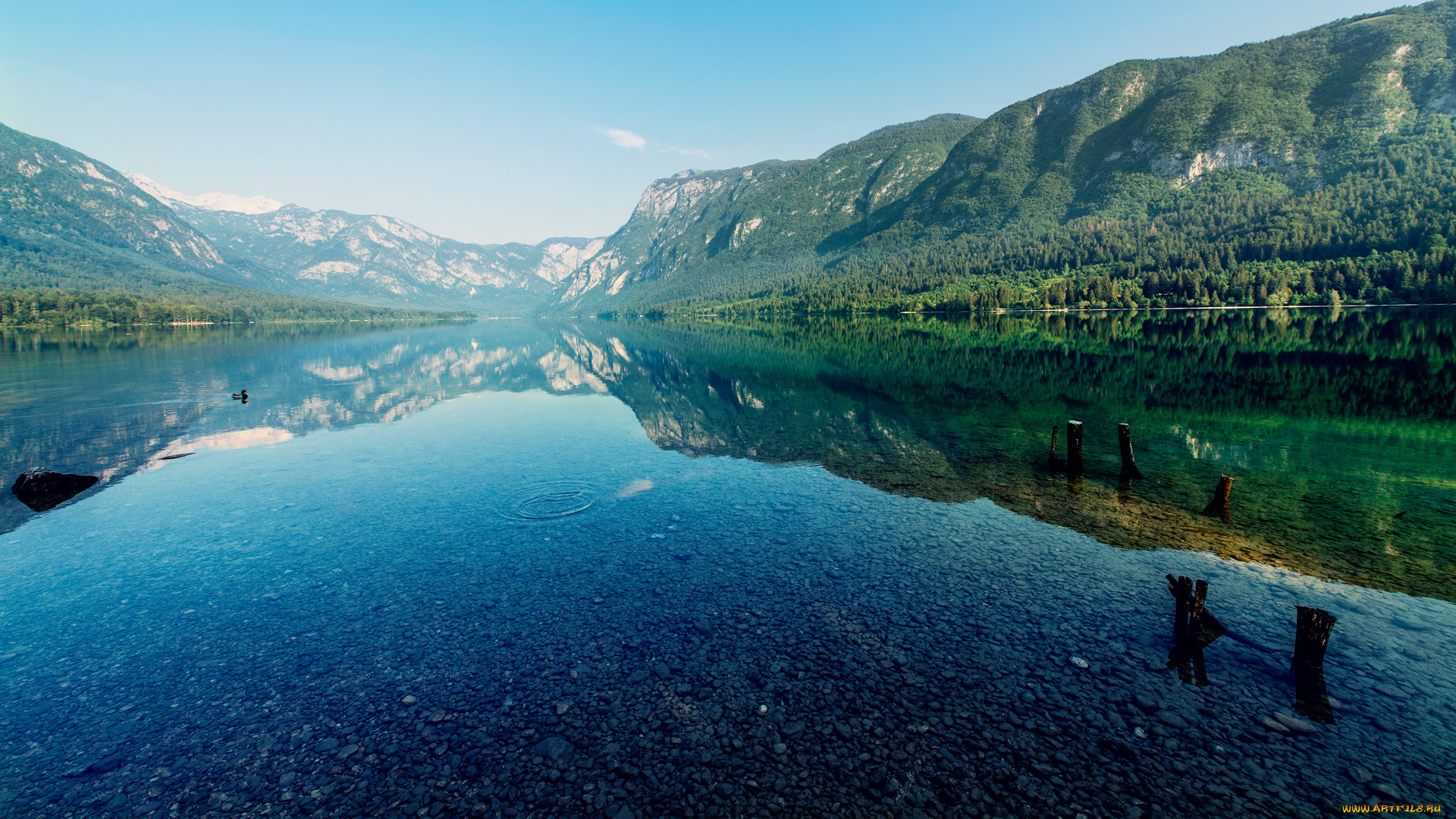 природа, реки, озера, утка, озеро, горы