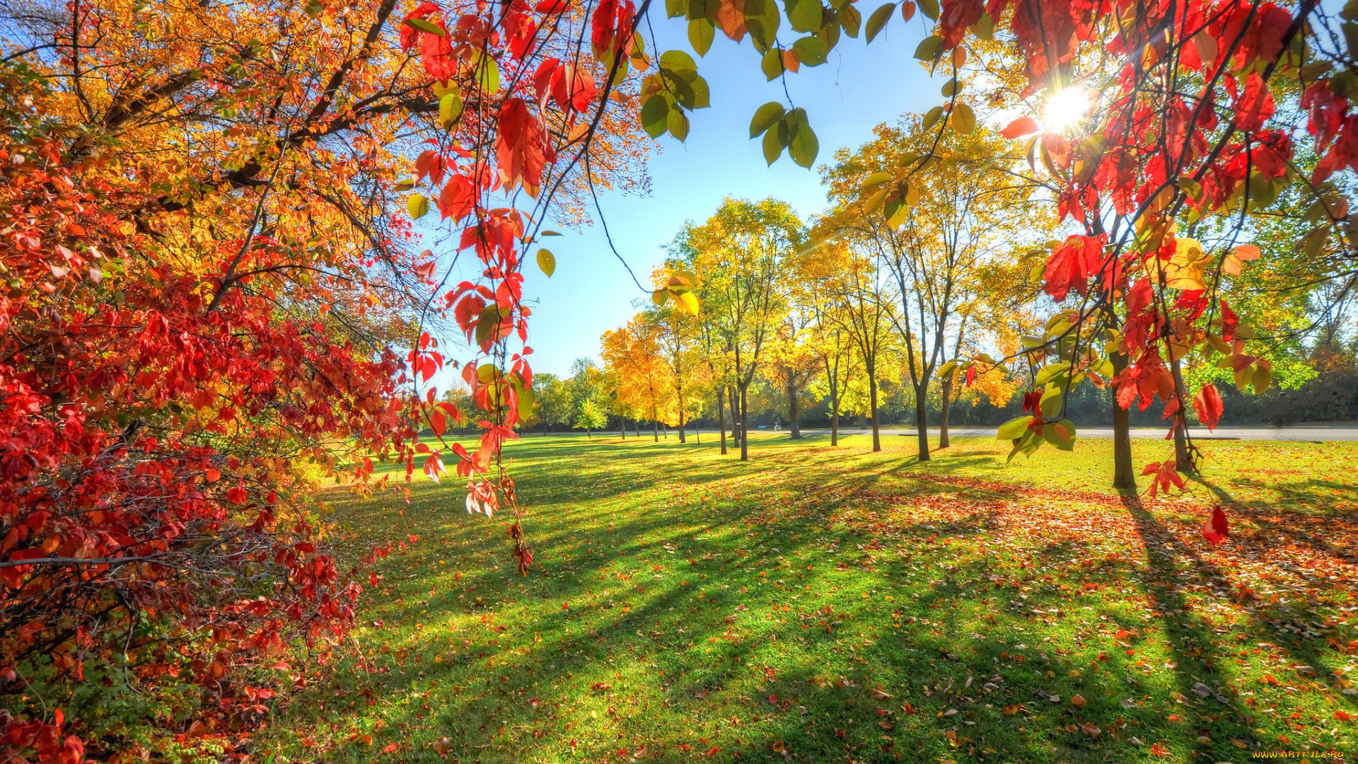 природа, восходы, закаты, осень, листья, деревья, небо, парк, аллея