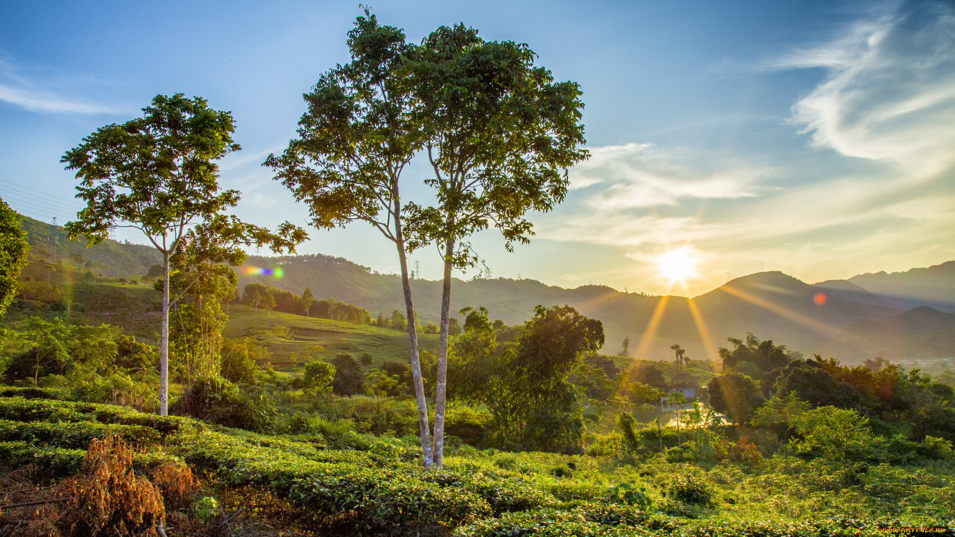 природа, восходы, закаты, рассвет, долина