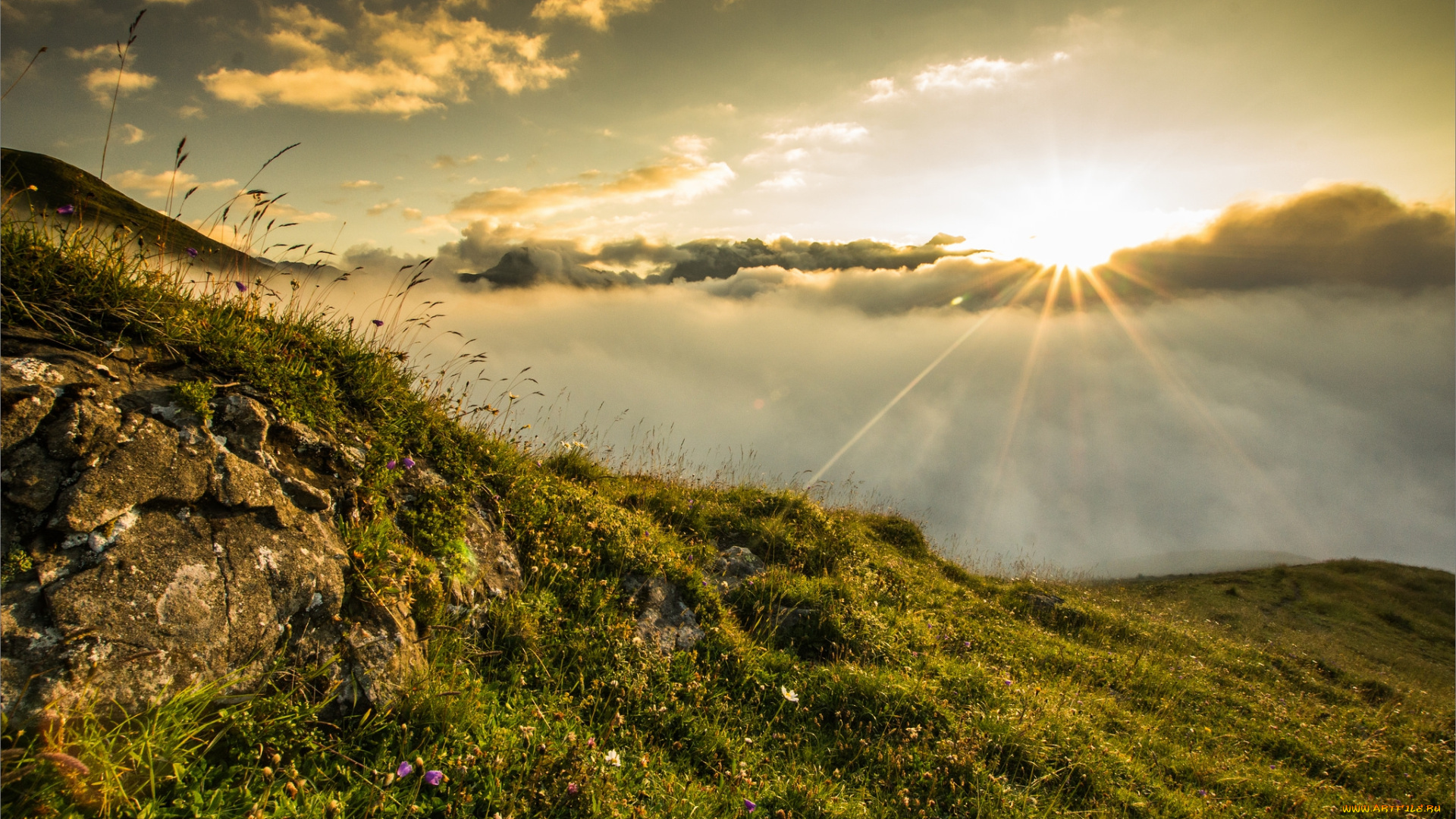 природа, восходы, закаты, туман, рассвет