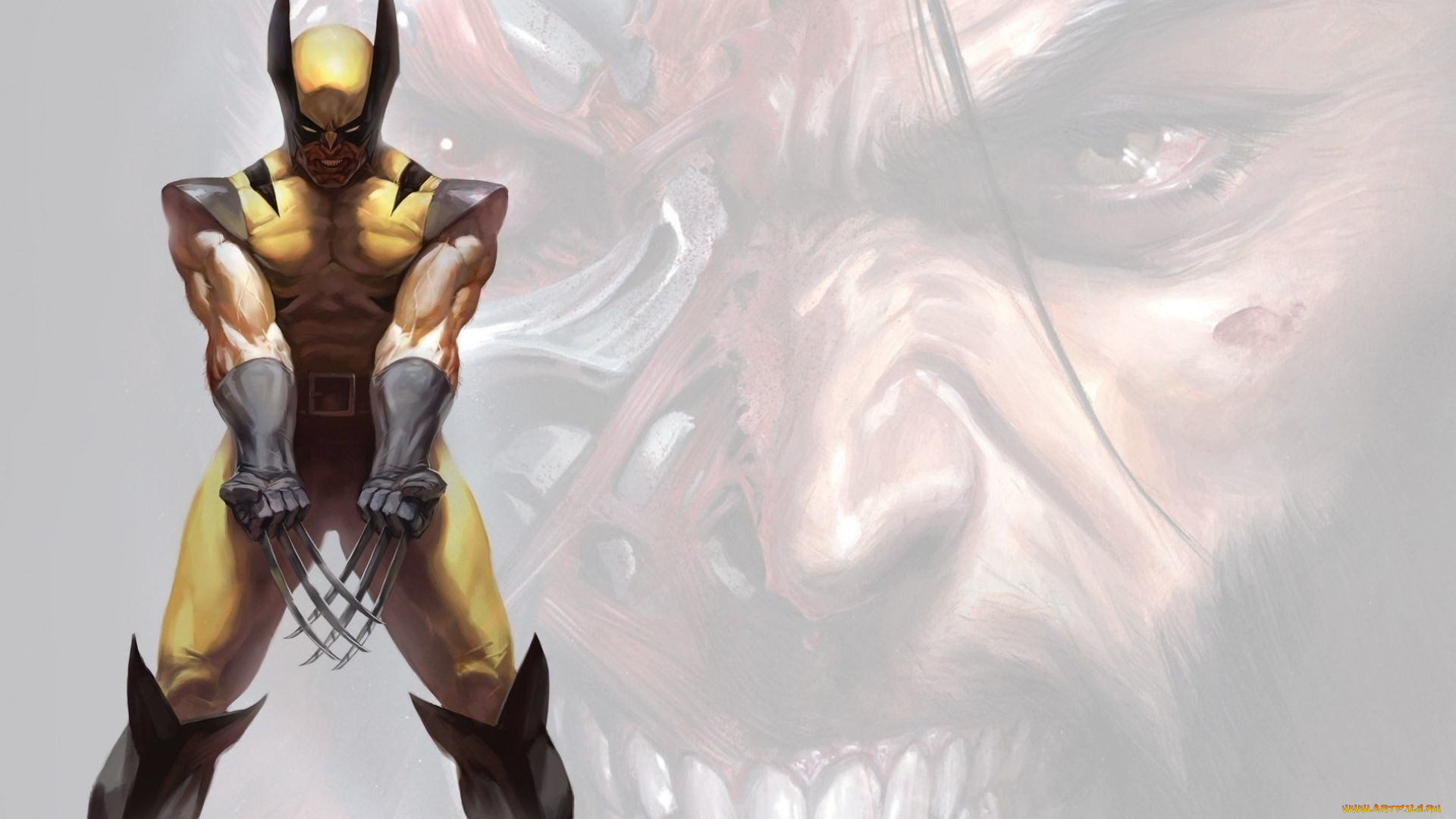 рисованное, комиксы, когти, wolverine, супермен