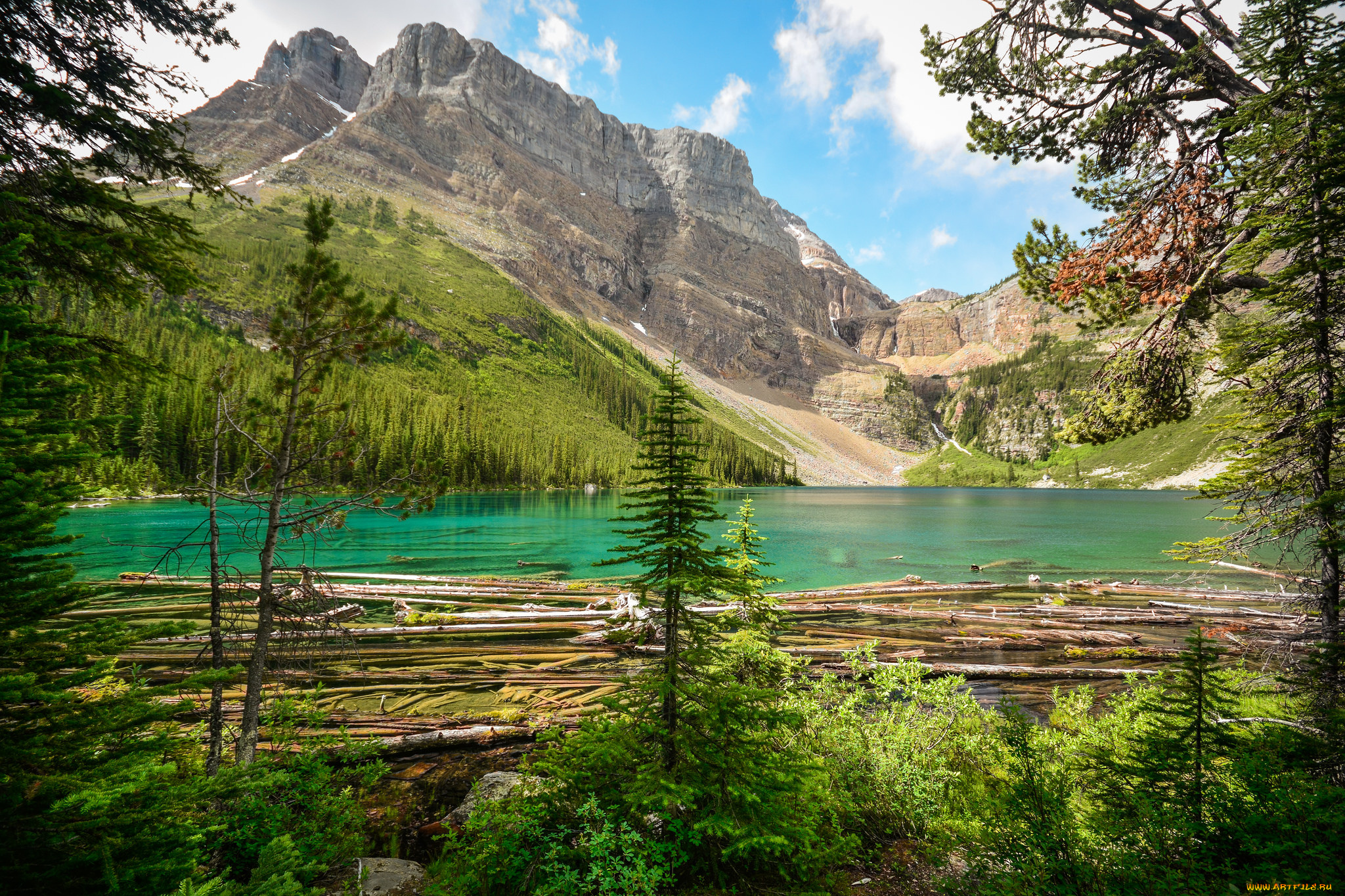 природа, реки, озера, лес, горы, река