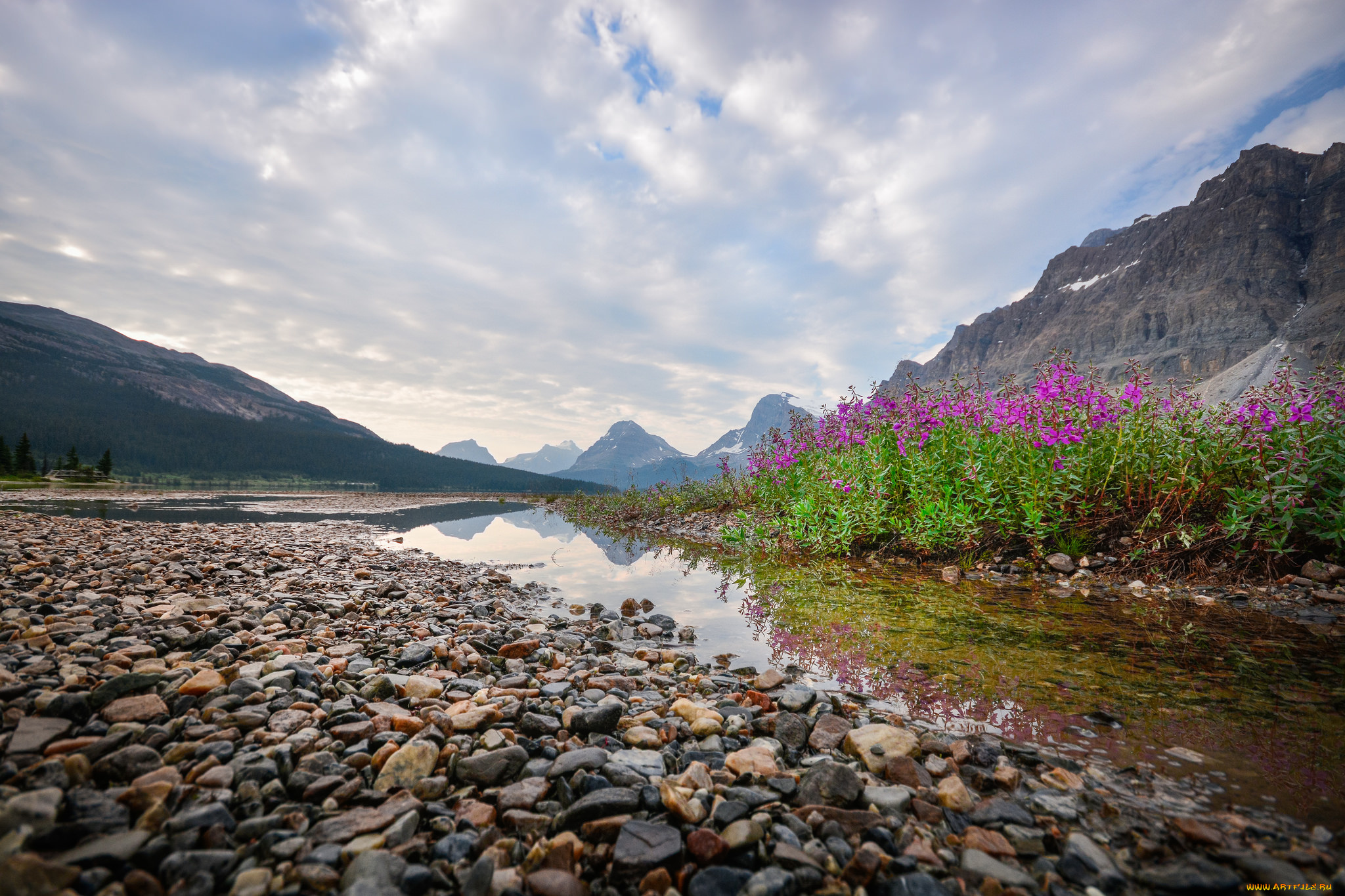 природа, реки, озера, река, лес, горы