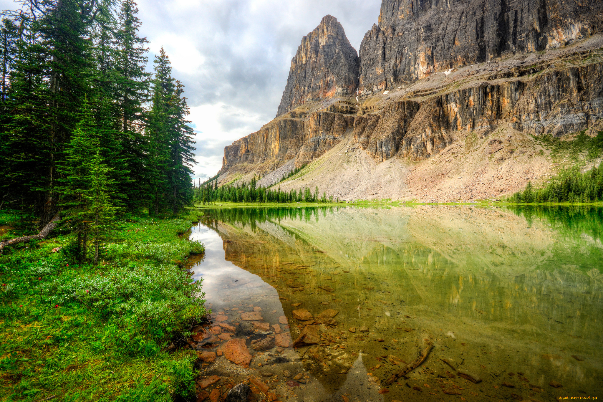 природа, реки, озера, река, лес, горы