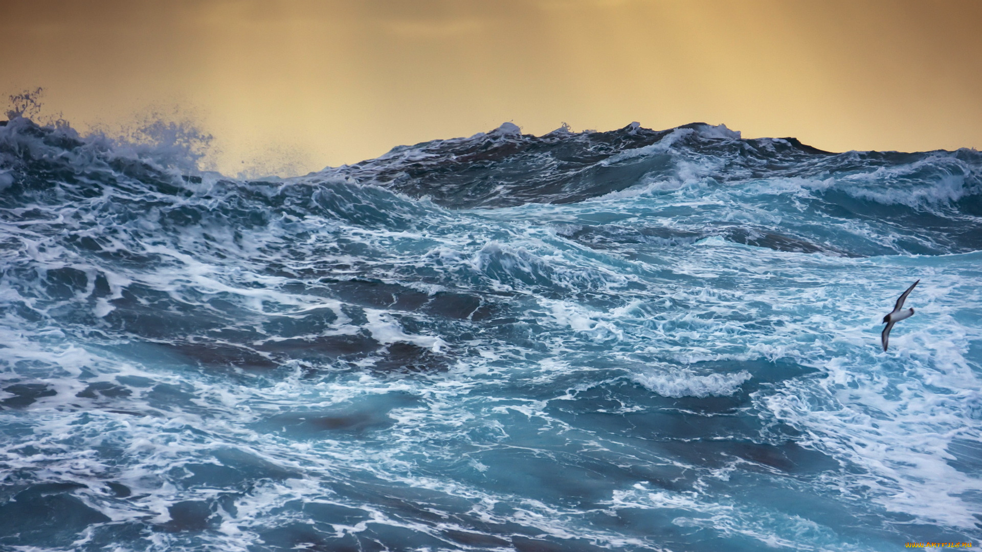 природа, моря, океаны, волны, море