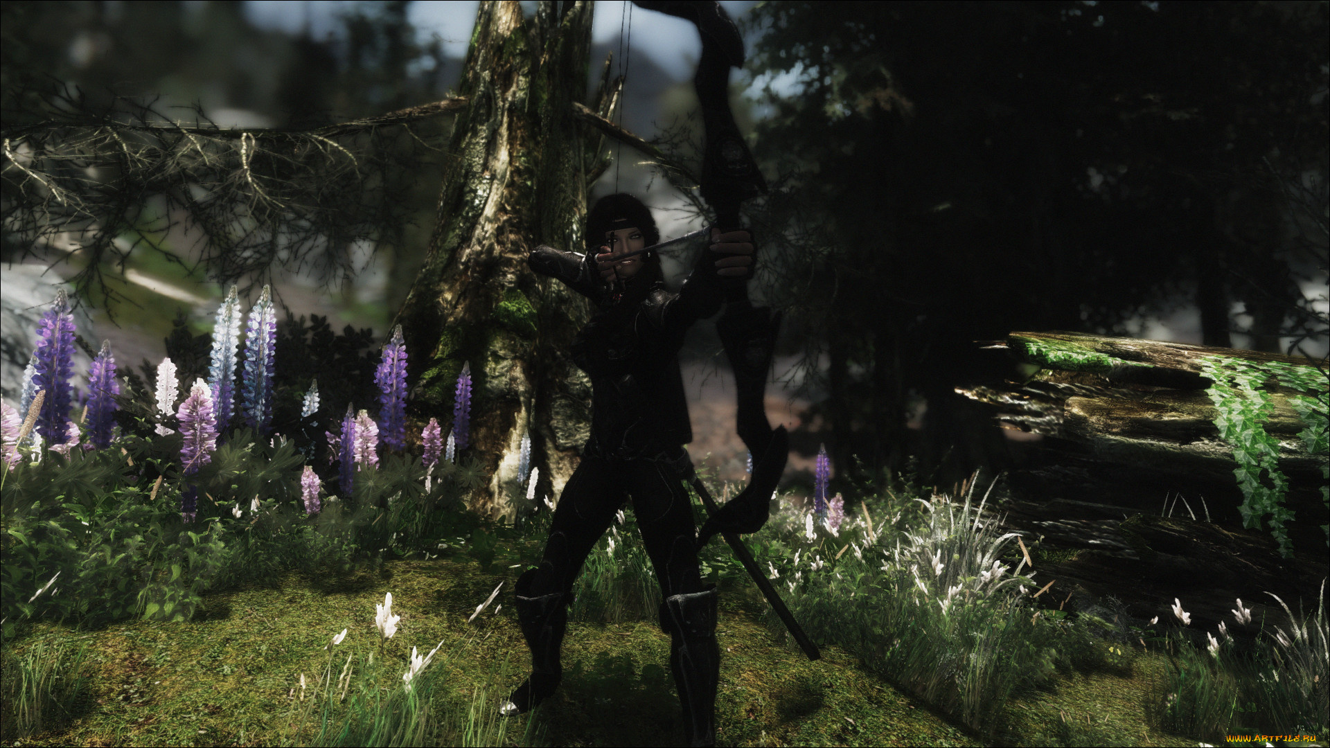 3д, графика, амазонки, , amazon, девушка, фон, взгляд