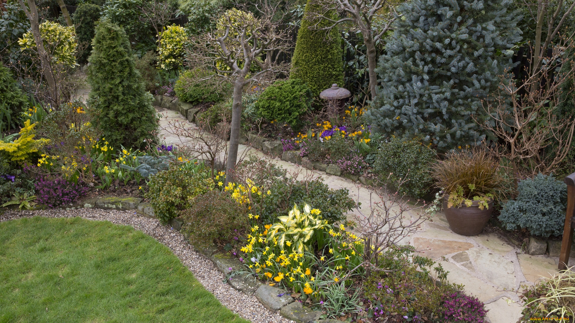 англия, природа, парк, деревья, цветы, трава