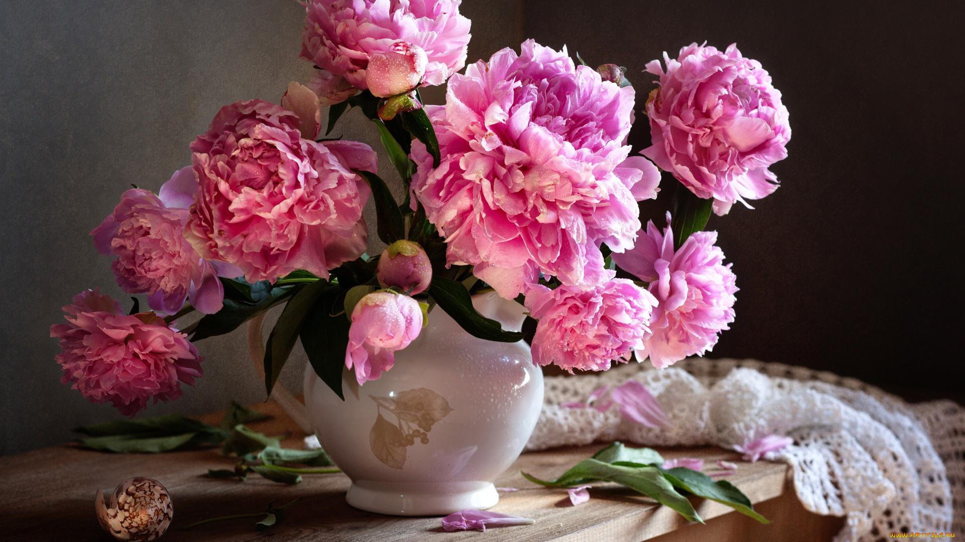 цветы, пионы, натюрморт, букет, капли