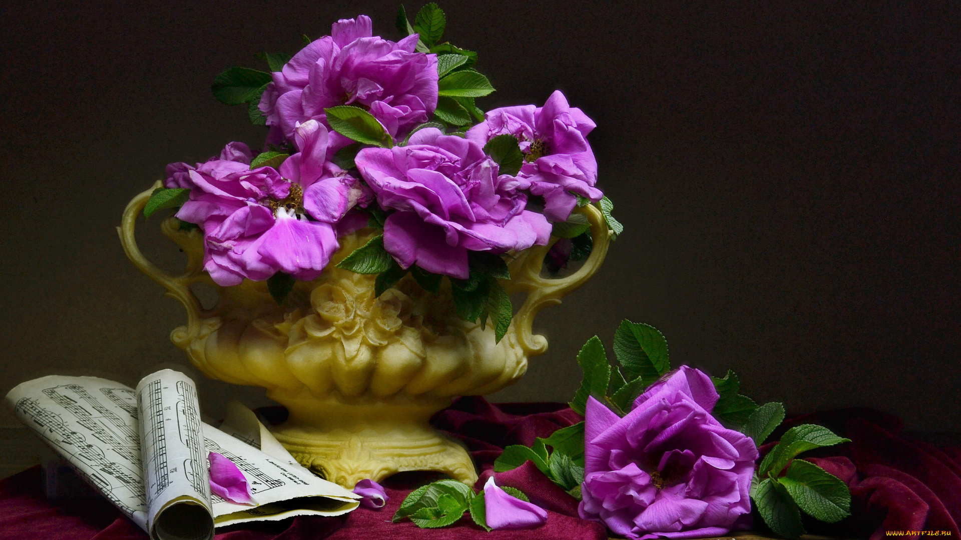 цветы, розы, ноты, ткань, ветки, шиповник, ваза