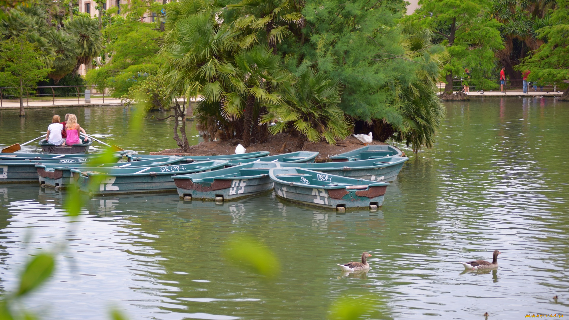 корабли, лодки, , шлюпки, деревья, пальмы, водоем, утки, люди